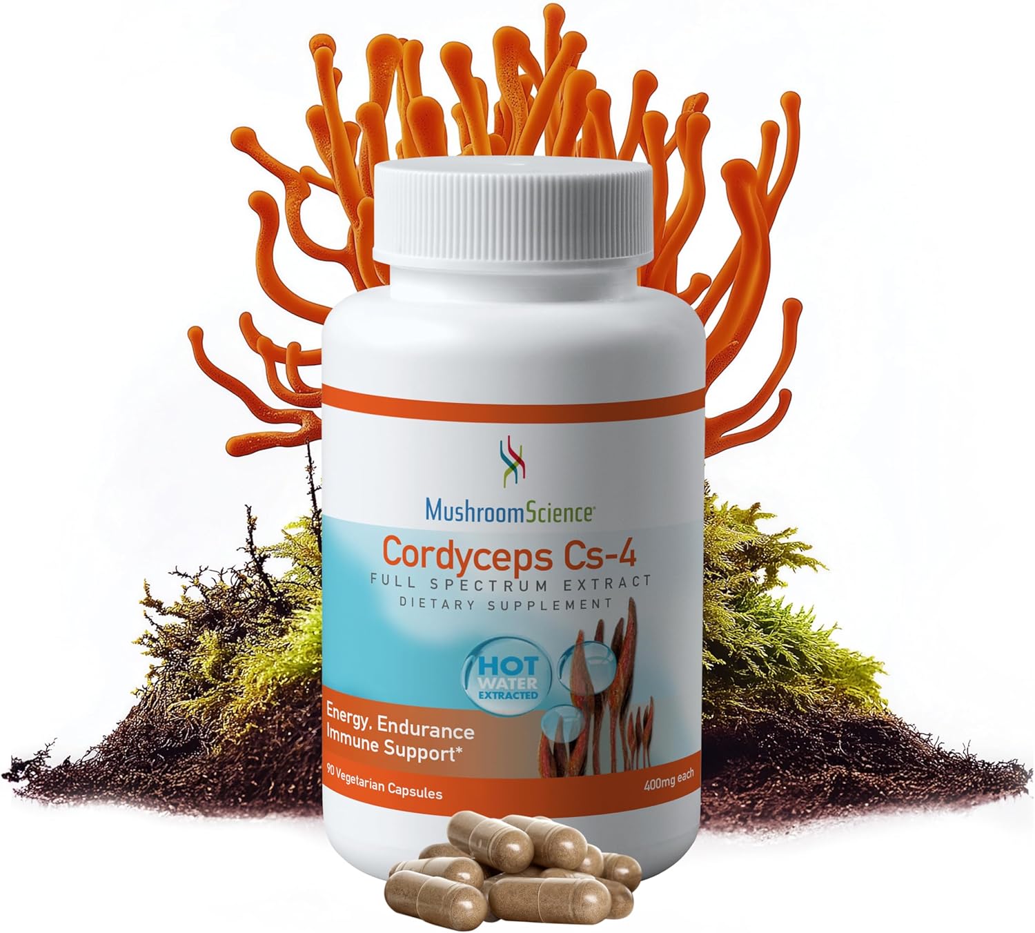 Mushroom Science Cordyceps CS-4 Capsules - Full Spectrum Extract for Energy & Endurance - Vegetarian - 400mg, 90 CT