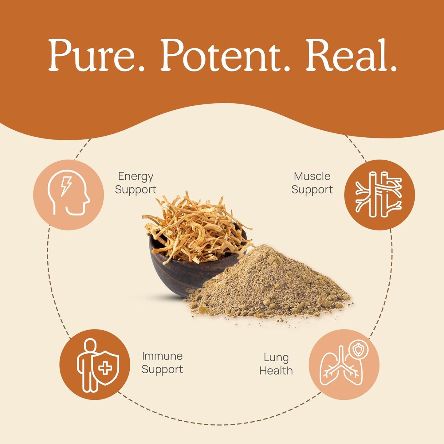 Mushroom Supplement Bundle for Mental Clarity, Focus, Energy - Vegan & Non-GMO - Real Mushrooms RealClarity & Lions Mane Capsules with Cordyceps Powder (60ct & 120ct)