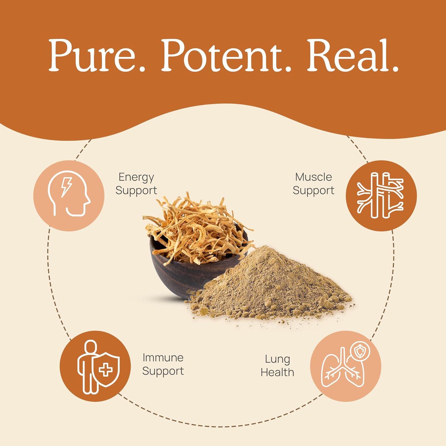 Mushroom Supplement Bundle for Mental Clarity, Focus, Energy - Vegan & Non-GMO - Real Mushrooms RealClarity & Lions Mane Capsules with Cordyceps Powder (60ct & 120ct)