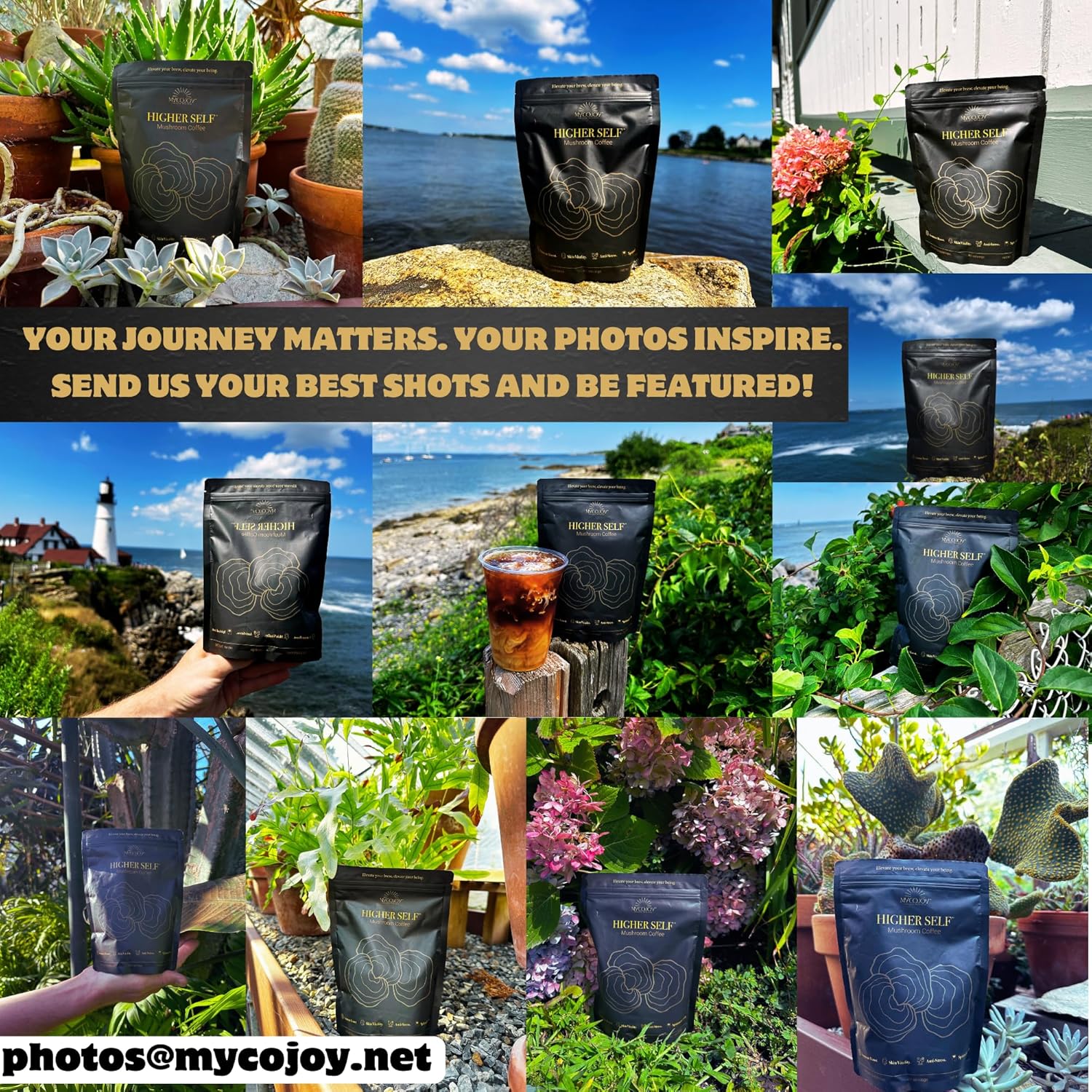 MYCOJOY HIGHER SELF™ Mushroom Coffee with IgG Colostrum, Organic Arabica, Lion's Mane, Reishi, Chaga, L-Theanine, and Frankincense - Immune Support & Focus Blend