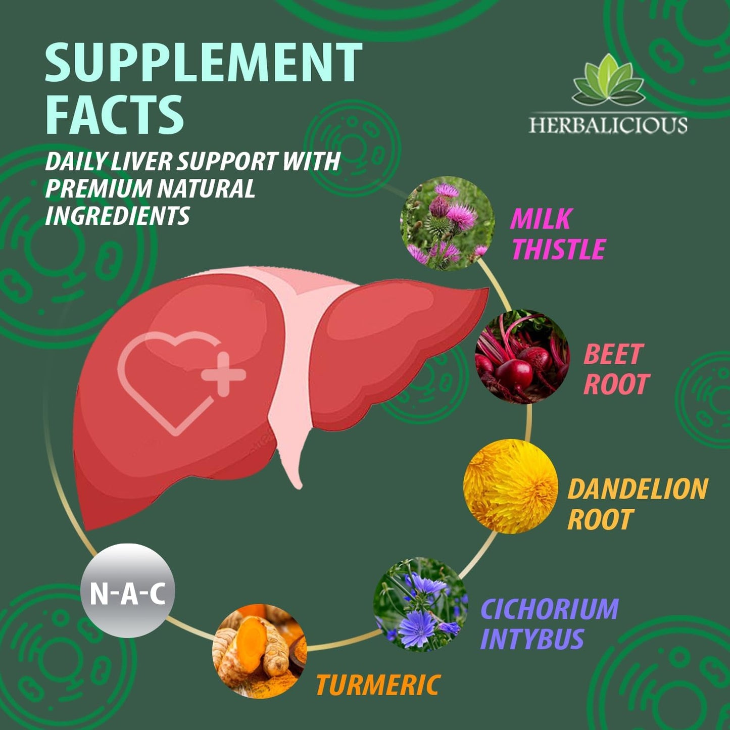 NAC Liver Support Liquid Formula with Milk Thistle, Dandelion Root, and Turmeric - Promotes Liver Detox - 4 fl oz