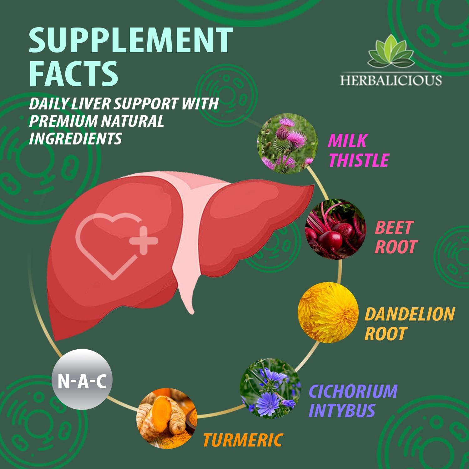 NAC Liver Support Liquid Formula with Milk Thistle, Dandelion Root, and Turmeric - Promotes Liver Detox - 4 fl oz