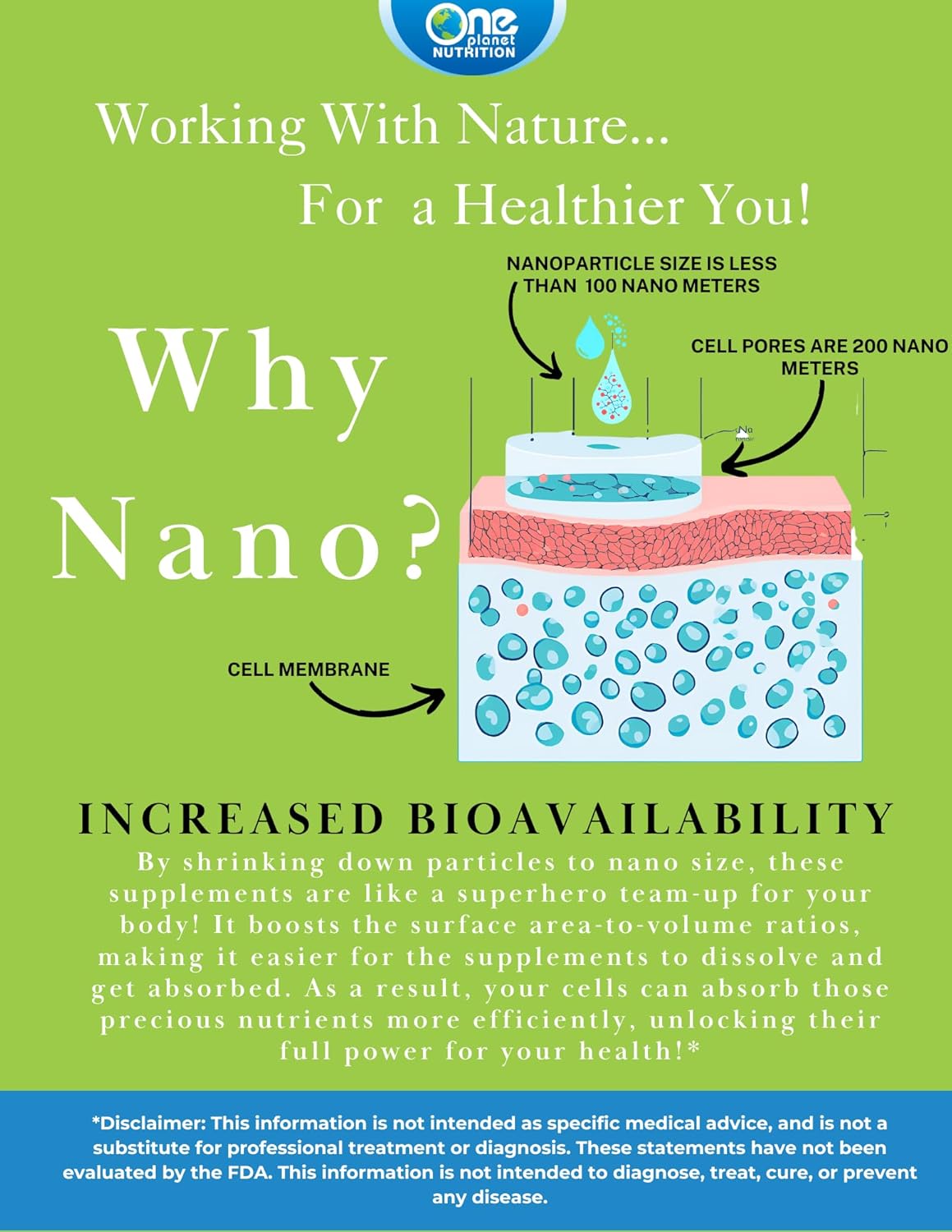 Nano Andrographis Powder 8 oz - 227 Servings, Enhanced Absorption, Supports Wellness, Non-GMO, Vegan, Gluten-Free - One Planet Nutrition