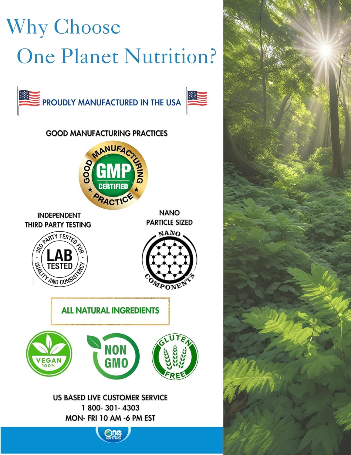Nano Andrographis Powder 8 oz - 227 Servings, Enhanced Absorption, Supports Wellness, Non-GMO, Vegan, Gluten-Free - One Planet Nutrition