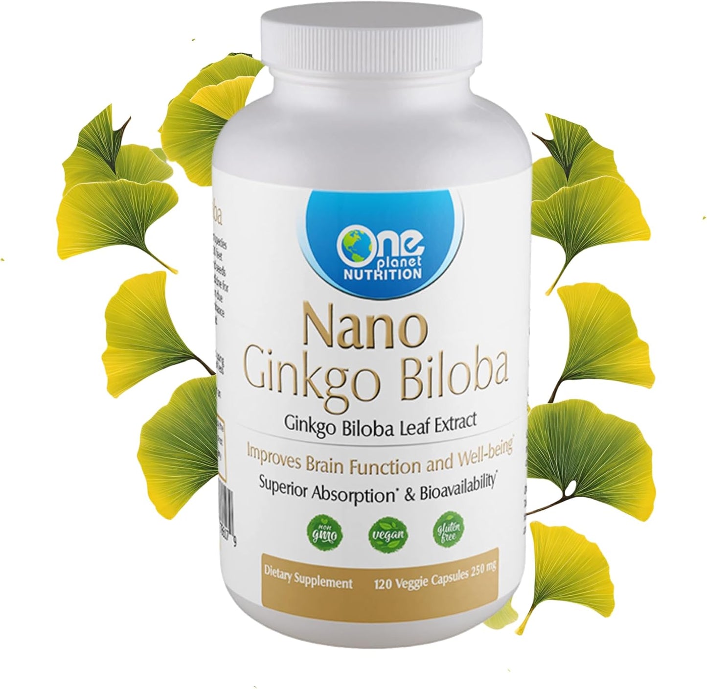 Nano Ginkgo biloba 250mg Veggie Capsules - 120 Servings, Cognitive & Circulation Support, High Absorption Ginkgo biloba Extract, Non-GMO, Vegan, Gluten Free