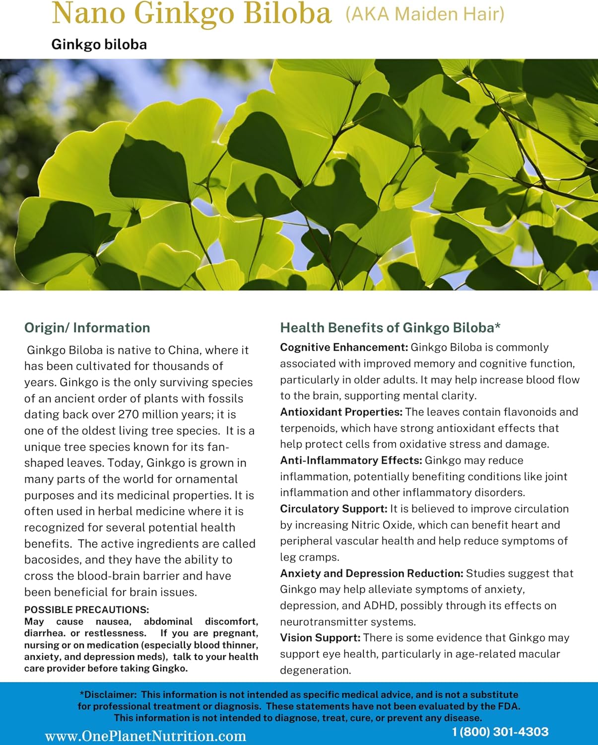 Nano Ginkgo biloba 250mg Veggie Capsules - 120 Servings, Cognitive & Circulation Support, High Absorption Ginkgo biloba Extract, Non-GMO, Vegan, Gluten Free