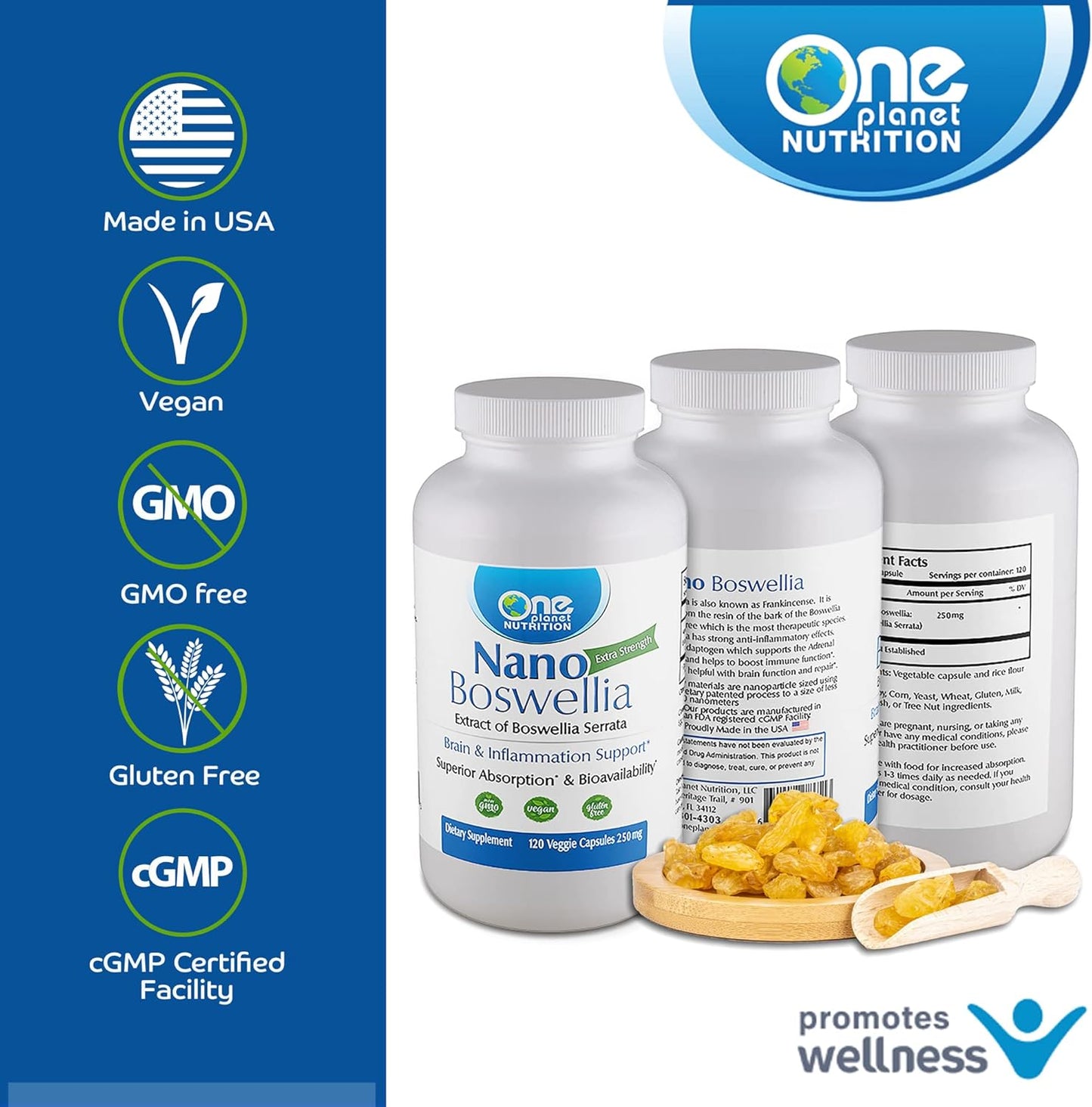 Nano Ginkgo biloba 250mg Veggie Capsules - 120 Servings, Cognitive & Circulation Support, High Absorption Ginkgo biloba Extract, Non-GMO, Vegan, Gluten Free