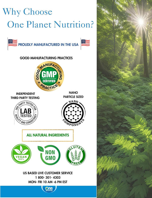 Nano Joint 500mg Veggie Capsules - Joint Health Support with Nano Curcumin, Boswellia, Ginger & GrapeSeed - 120 Servings, Non-GMO, Vegan, Gluten Free