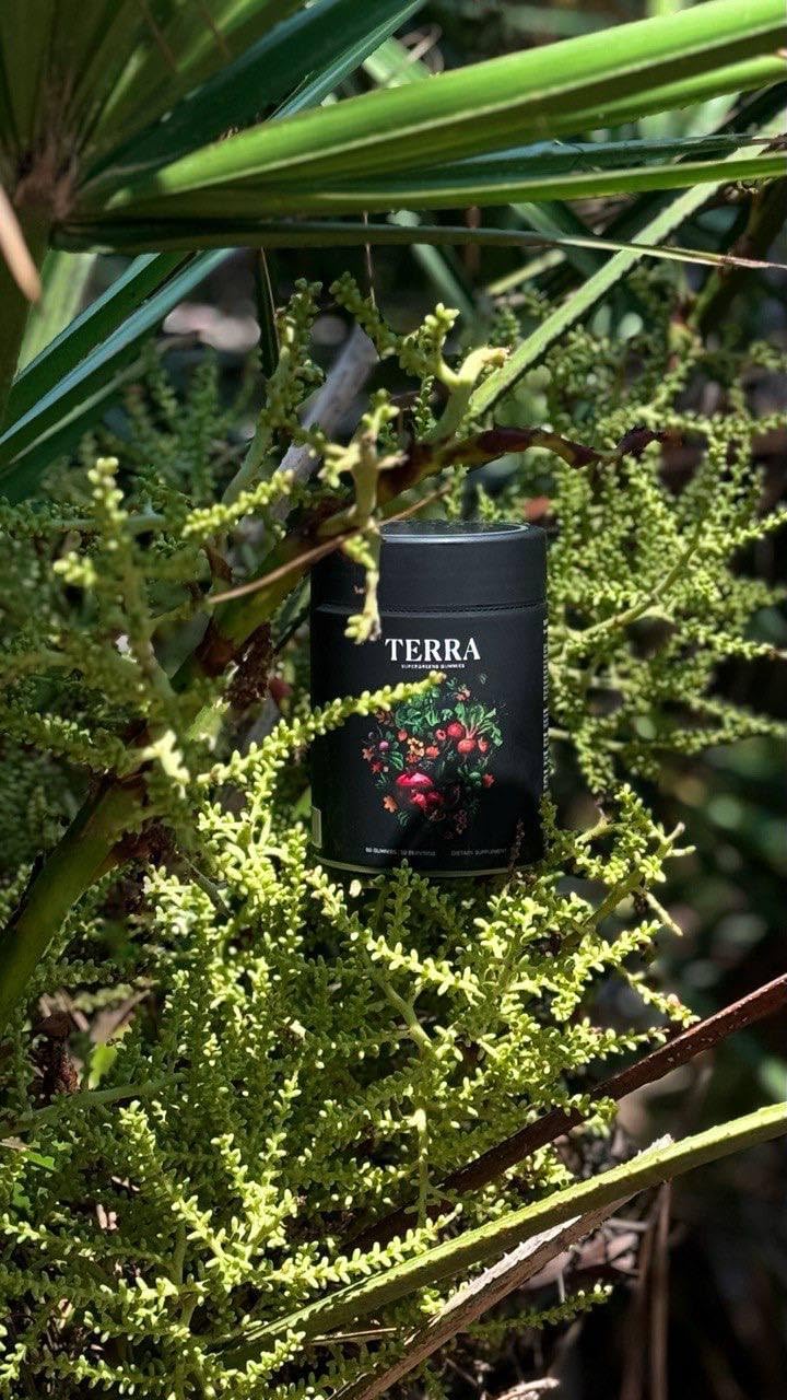 NAO Terra SuperGreen Gummies - Plant-Based Antioxidants & Greens for Immunity, Energy & Wellness. Daily Support in 2 Tasty Gummies