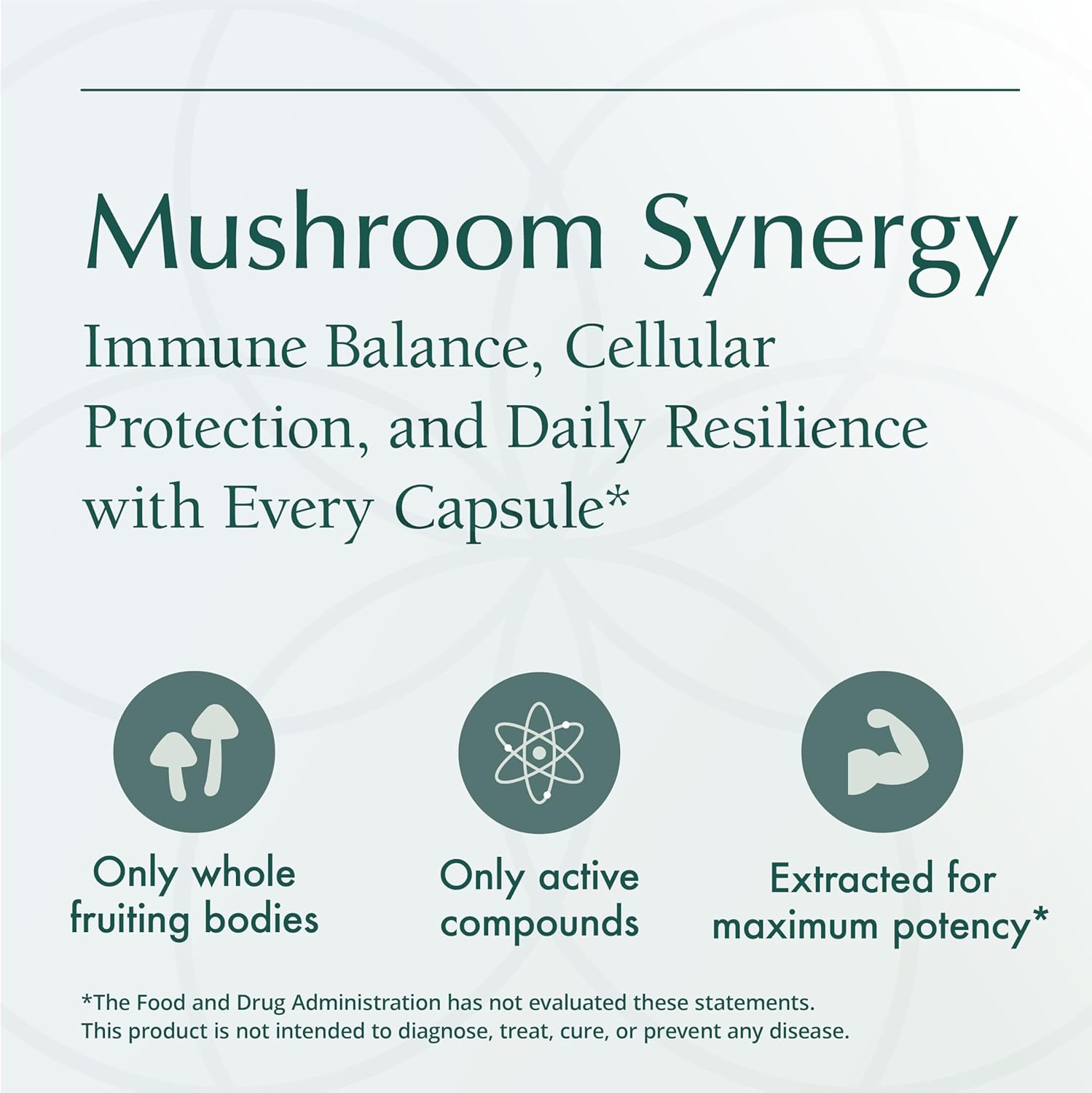 Natura Health Mushroom Synergy Supplement with Turkey Tail, Red Reishi, Chaga, & Poria Mushrooms for Immune Support - 180 Capsules