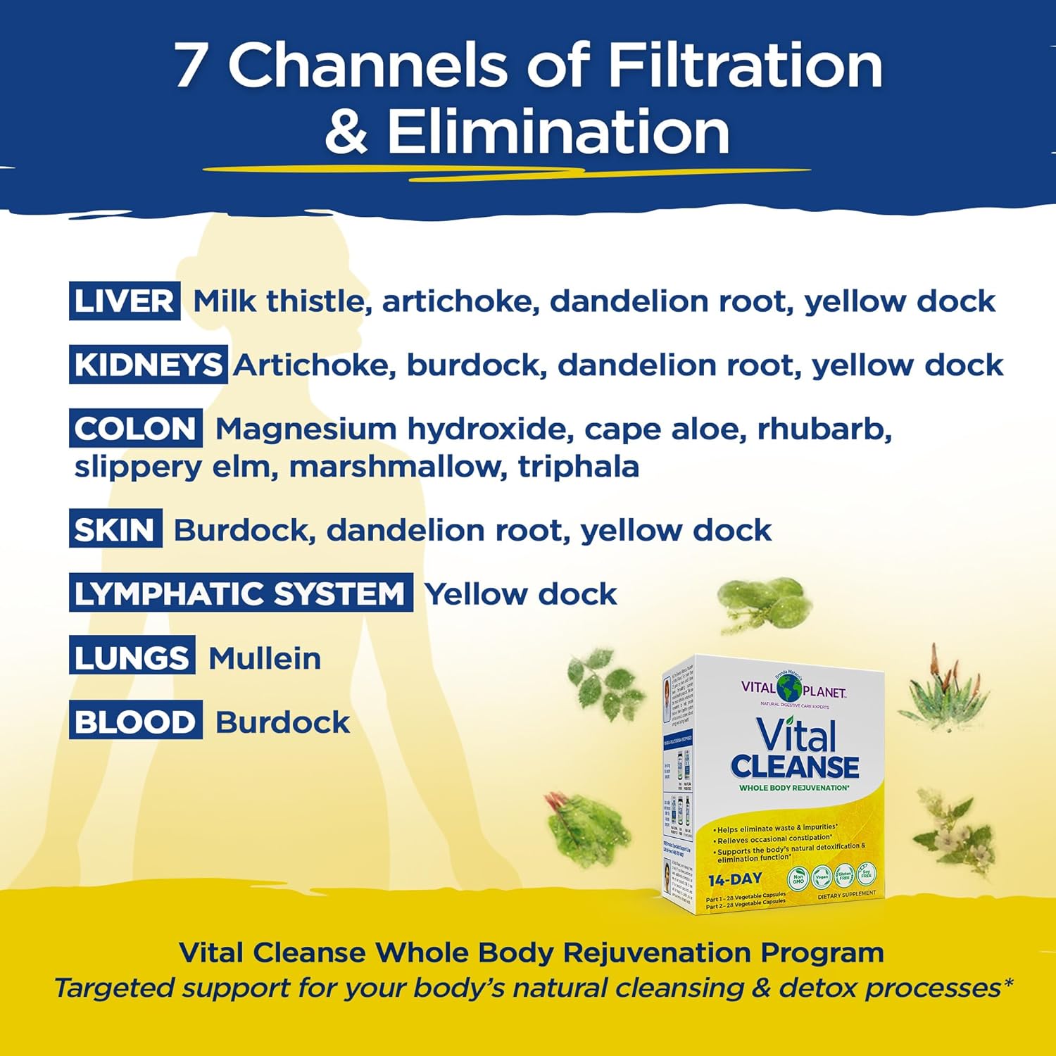 Natural 2-Part Cleanse Kit with Milk Thistle & Herbs for Healthy Elimination - 56 Capsules