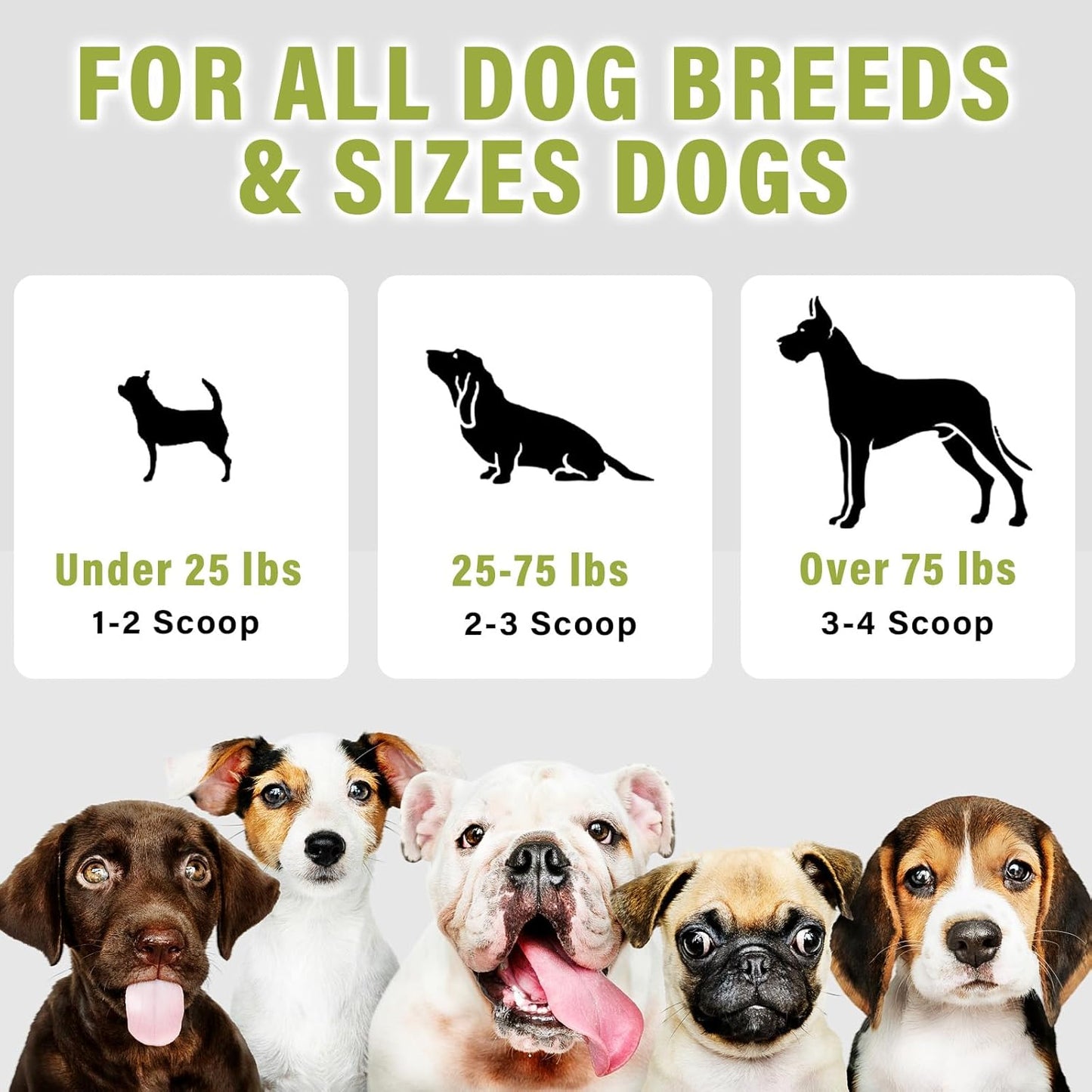 Natural Activated Charcoal Powder for Pets - Supports Upset Stomach, Gas Relief, Digestion & Liver Health