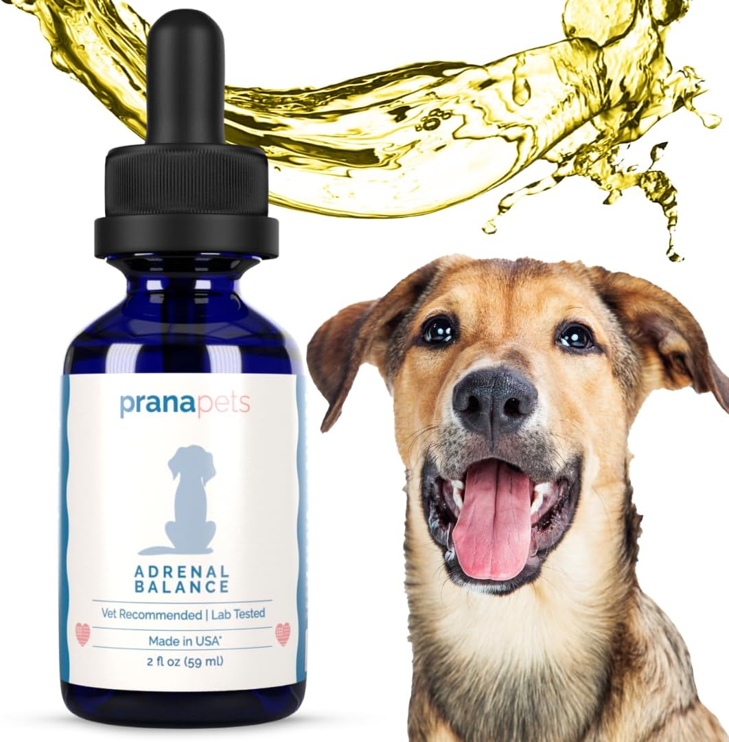 Natural Adrenal Balance Supplement for Dogs with Cushing's Disease - 2 Pack | Herbal Formula to Relieve Symptoms | Licorice-Free Formula