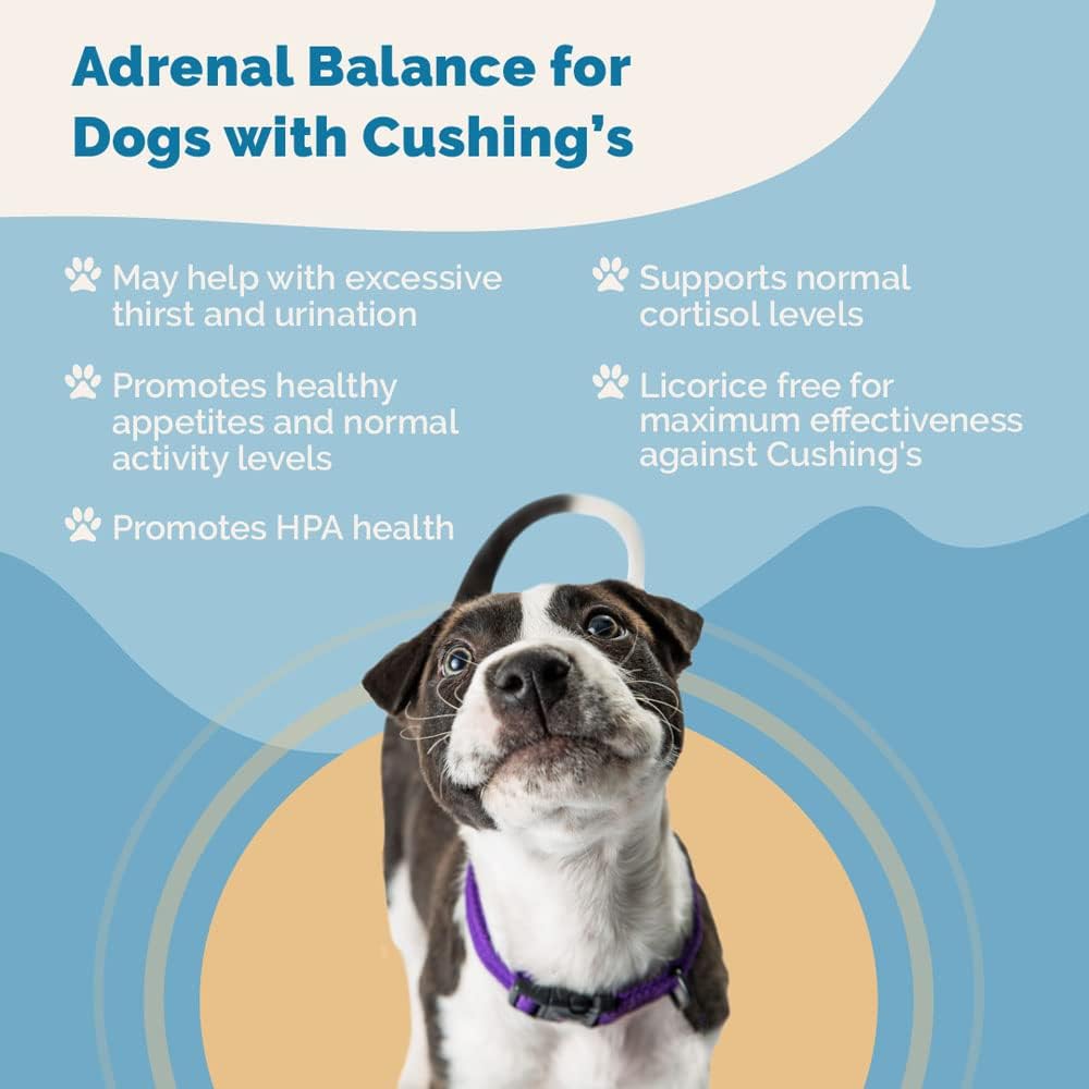 Natural Adrenal Balance Supplement for Dogs with Cushing's Disease - 2 Pack | Herbal Formula to Relieve Symptoms | Licorice-Free Formula