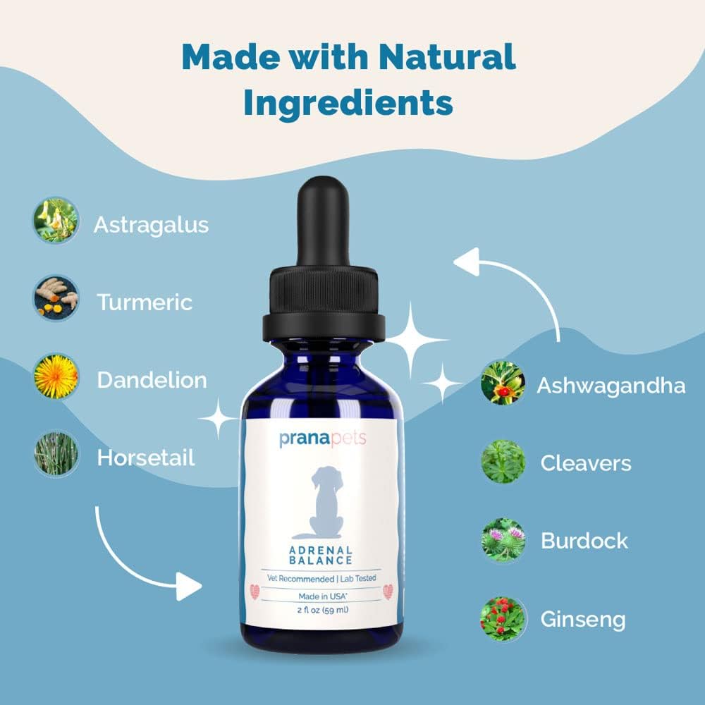 Natural Adrenal Balance Supplement for Dogs with Cushing's Disease - 2 Pack | Herbal Formula to Relieve Symptoms | Licorice-Free Formula