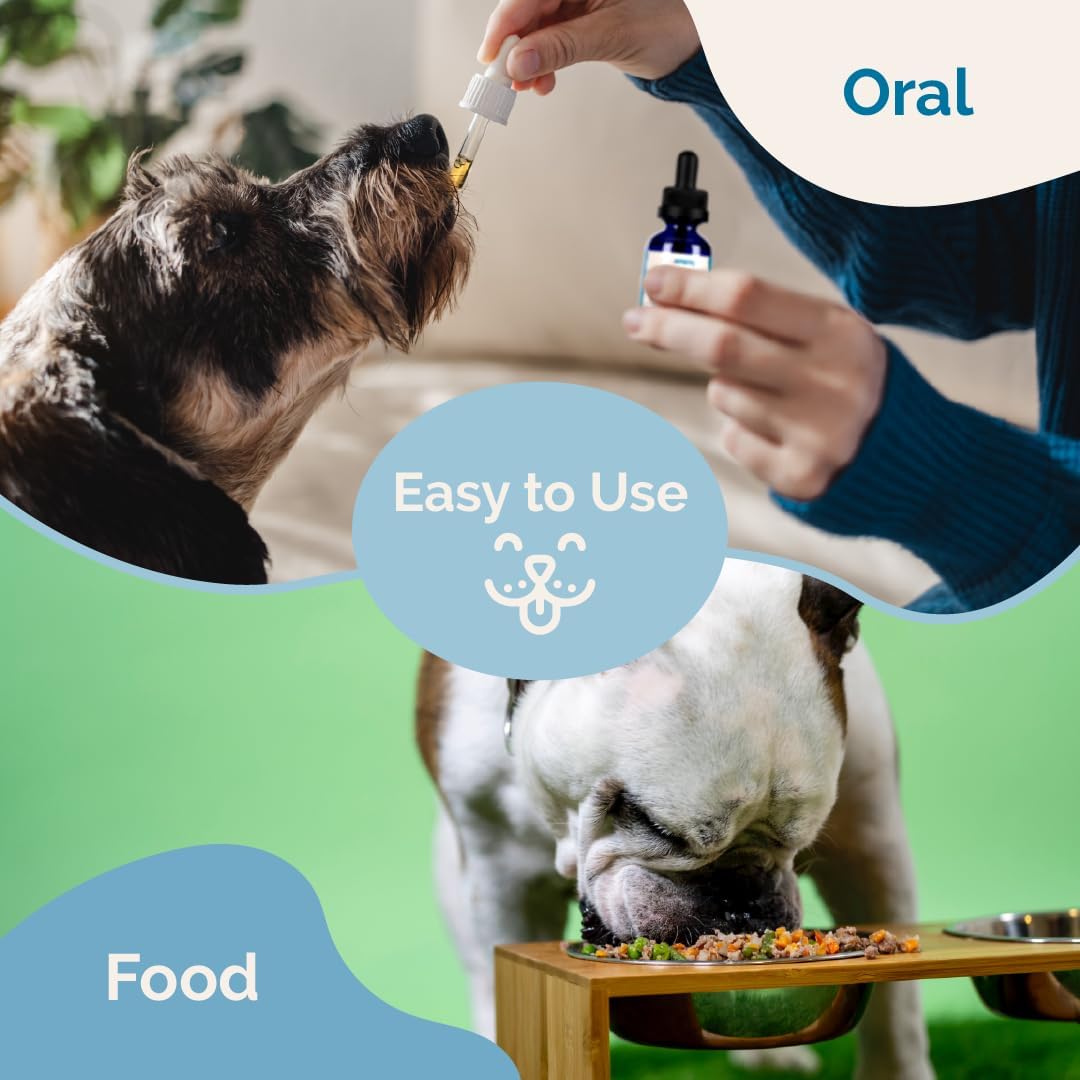 Natural Adrenal Balance Supplement for Dogs with Cushing's Disease - 2 Pack | Herbal Formula to Relieve Symptoms | Licorice-Free Formula