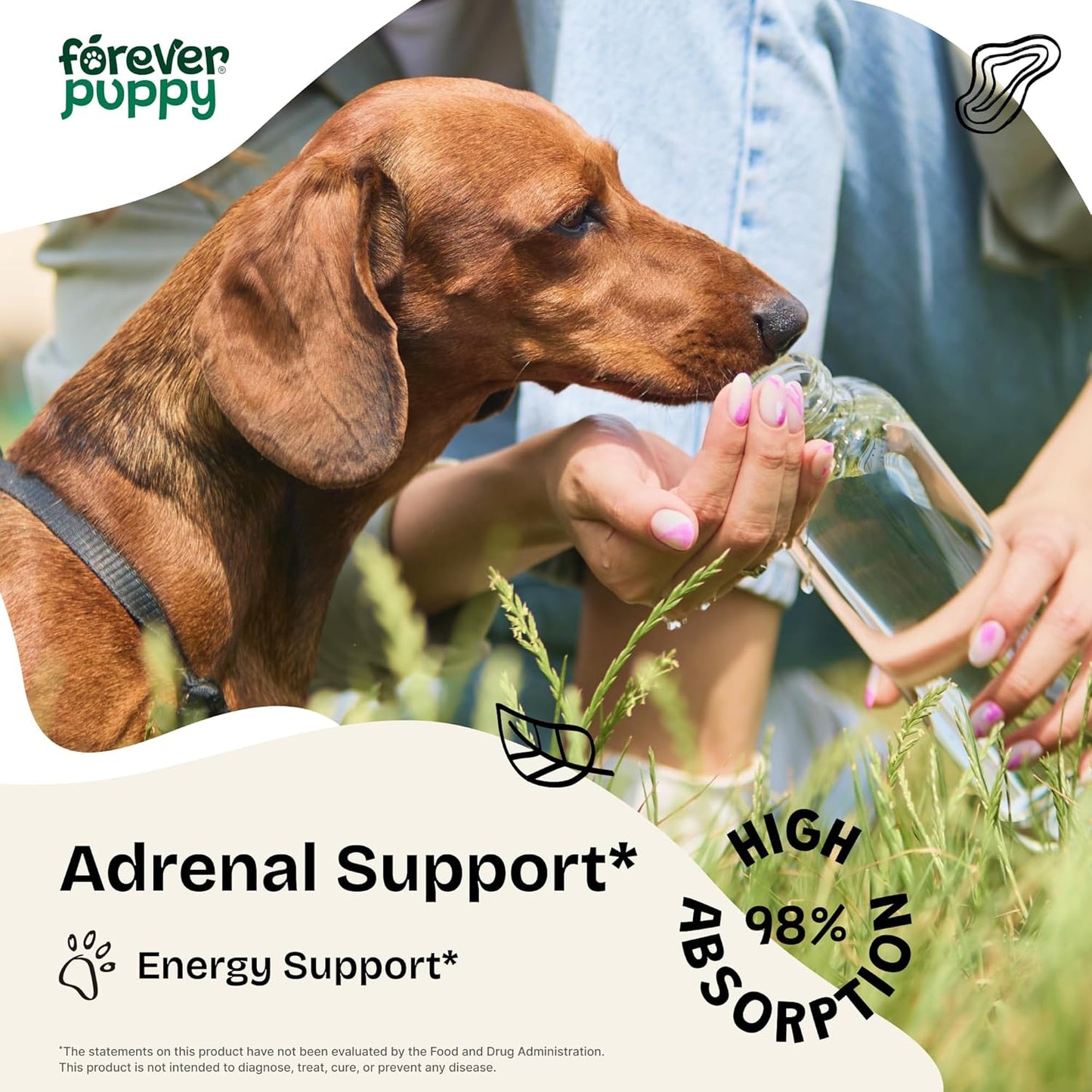 Natural Adrenal Support Drops for Dogs - Ashwagandha & Ginseng Root Tincture - Energy & Calming Liquid Supplement - 2 oz