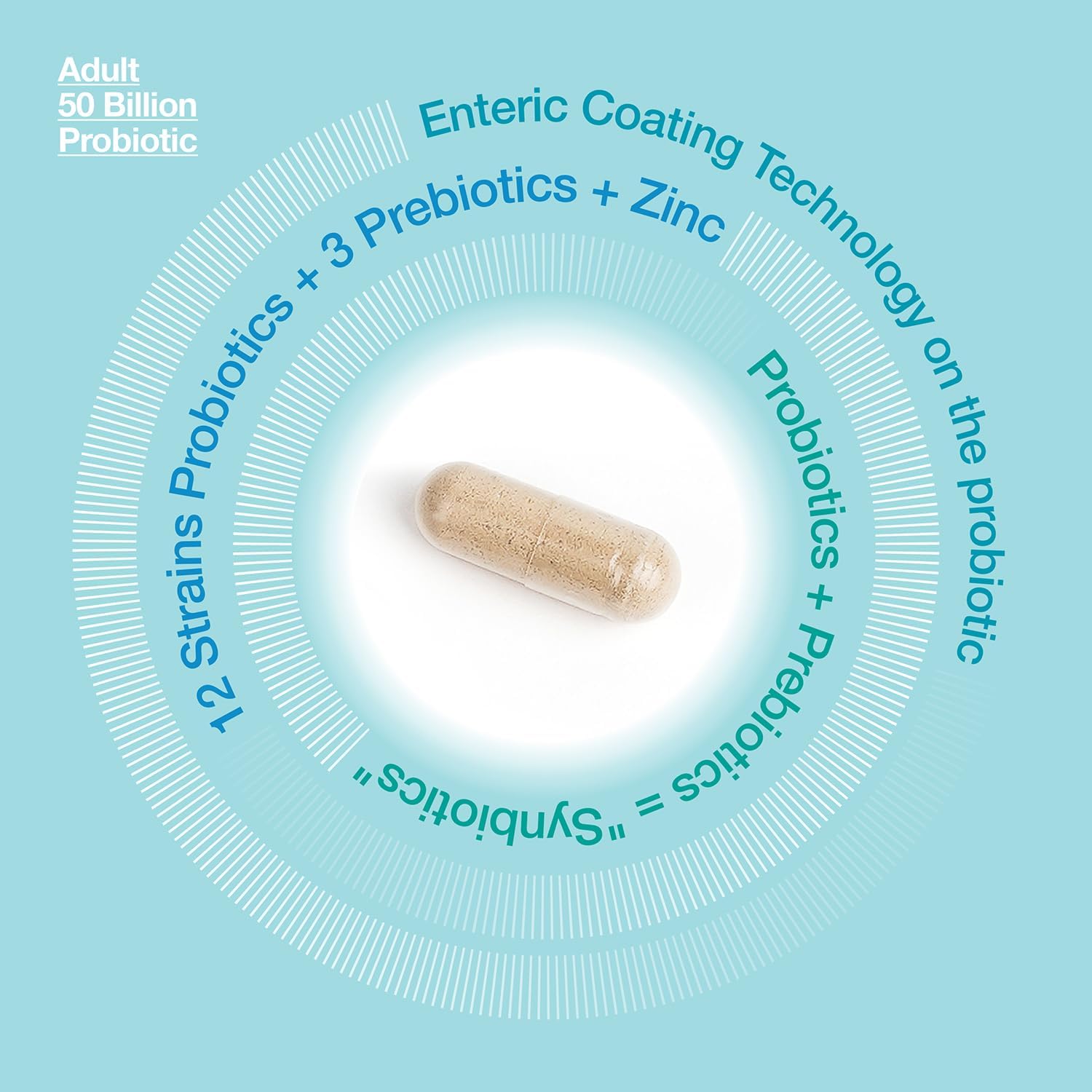 Natural Adult Probiotic with 50 Billion CFU, 12 Strains, 3 Prebiotics, Zinc - Digestive Health & Immune Support - 60 Veggie Capsules