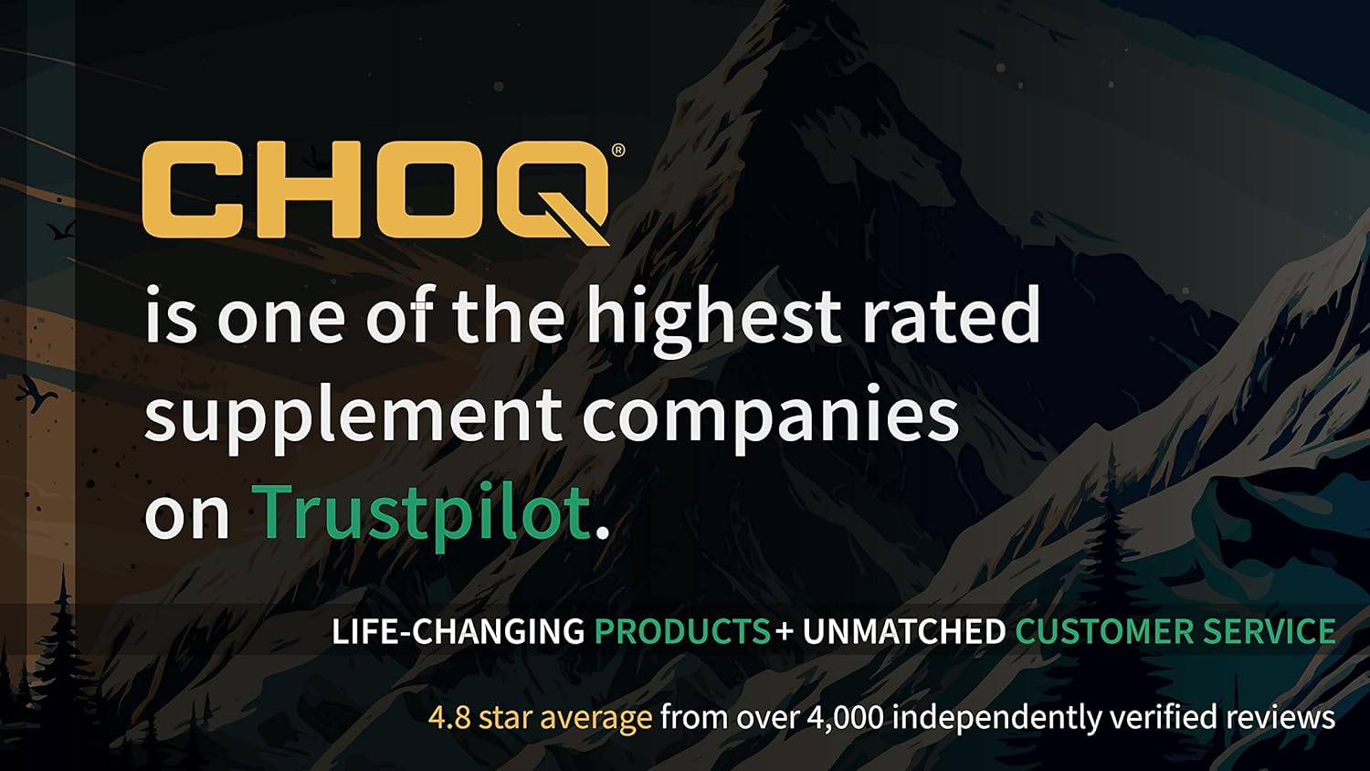 Natural All-Day Energy Boost with CHOQ Action 2.0 - 90 Vegan Capsules featuring Rhodiola rosea