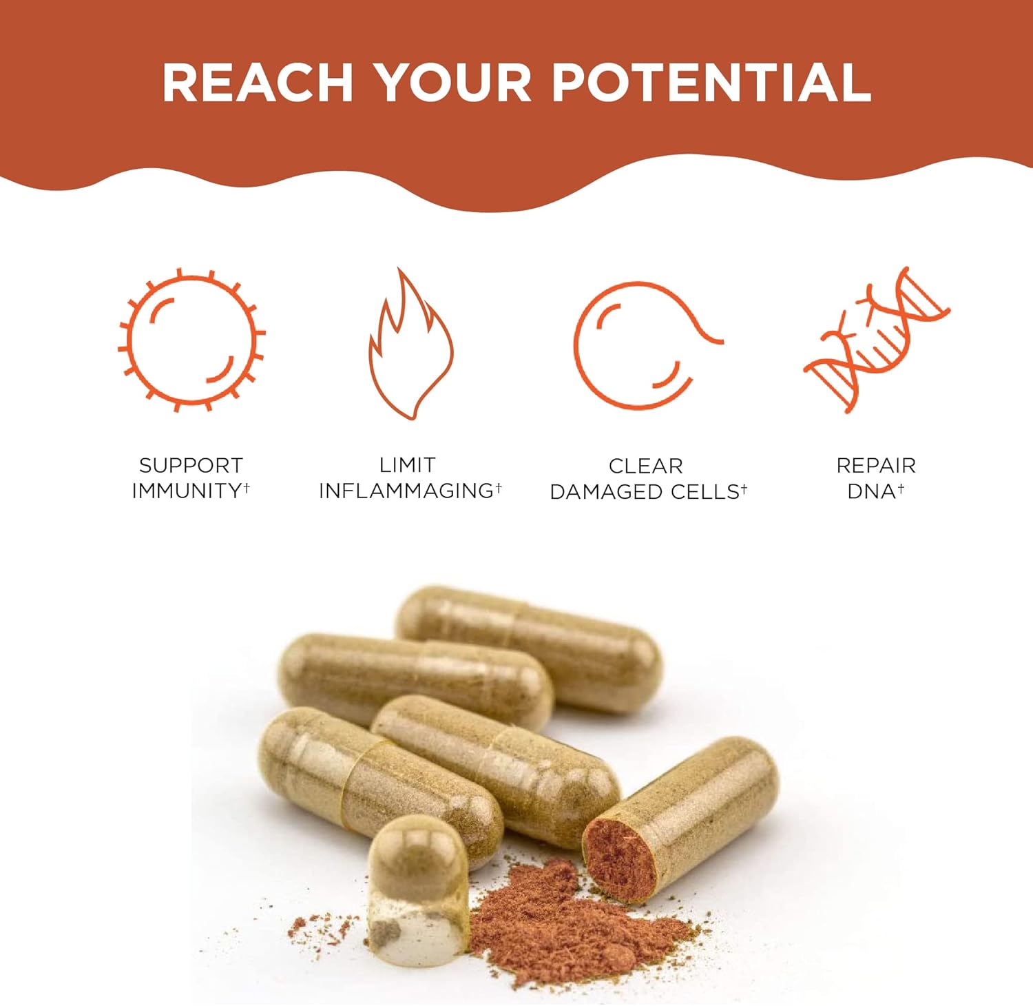 Natural AntiAging Supplements Bundle for Men and Women - AM PM Cell Health Vitamins with AC-11 for DNA Repair, Energy, and Sleep