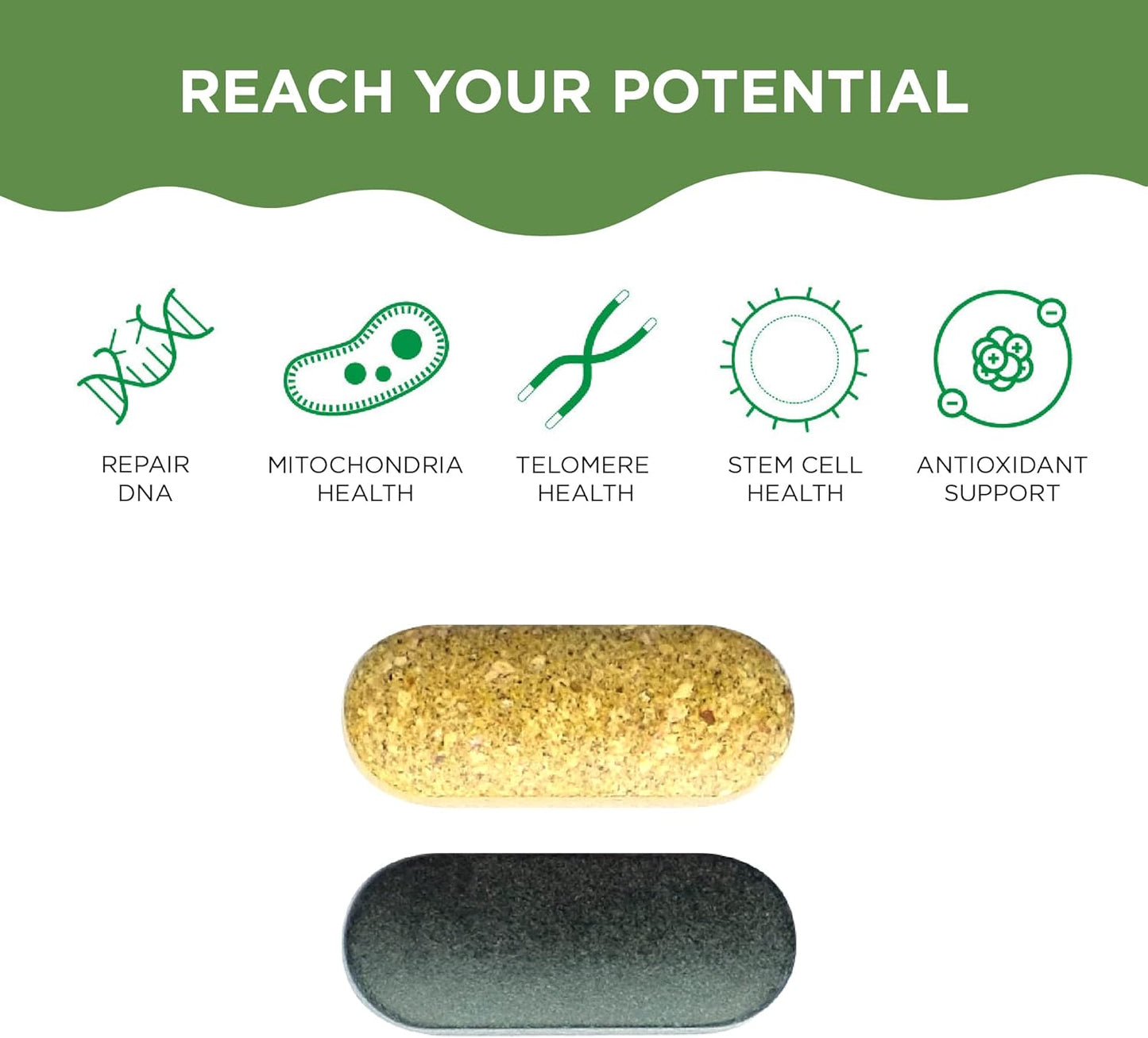 Natural AntiAging Supplements Bundle for Men and Women - AM PM Cell Health Vitamins with AC-11 for DNA Repair, Energy, and Sleep