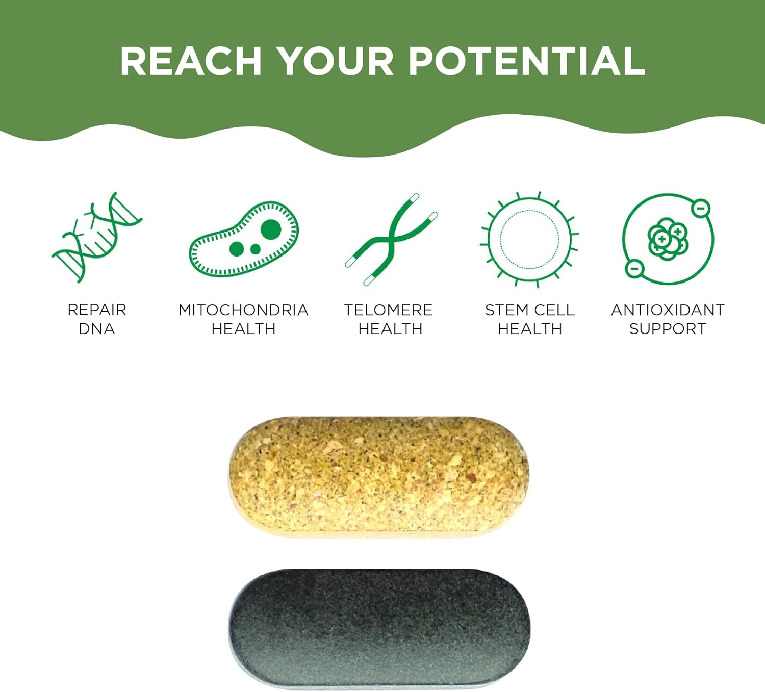 Natural AntiAging Supplements Bundle for Men and Women - AM PM Cell Health Vitamins with AC-11 for DNA Repair, Energy, and Sleep