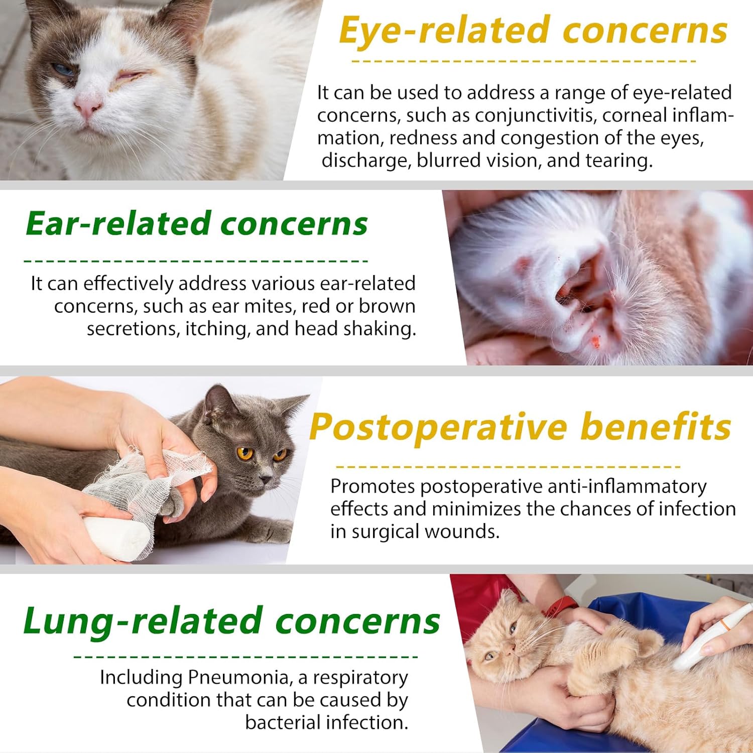 Natural Antibiotic Supplement for Cats - Supports Immune System, Allergy Relief, UTI Prevention, Multivitamin - Chicken Flavour - 2 Fl Oz / 1 Pack