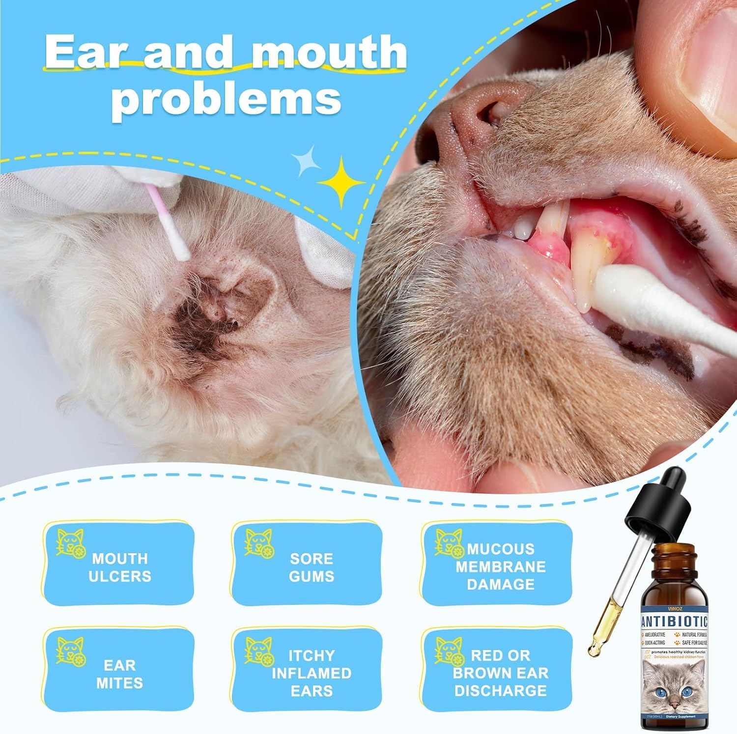 Natural Antibiotics for Cats - Allergy Itch Relief and Immune Boost - UTI Treatment - Supplemental Vitamins for Pets, 2 fl oz