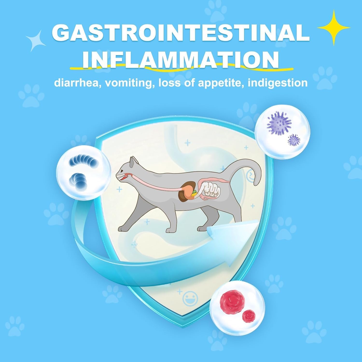 Natural Antibiotics for Cats - Allergy Itch Relief and Immune Boost - UTI Treatment - Supplemental Vitamins for Pets, 2 fl oz