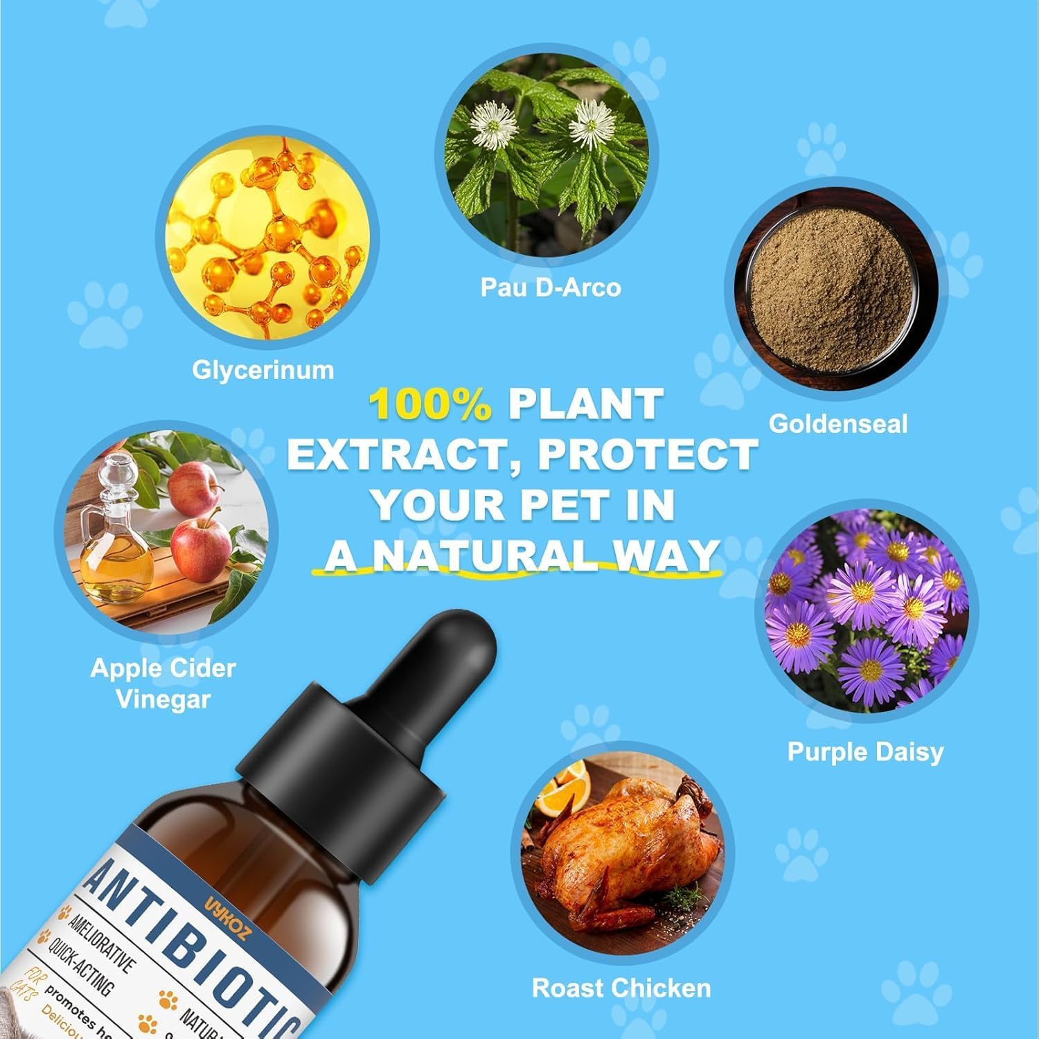 Natural Antibiotics for Cats - Allergy Itch Relief and Immune Boost - UTI Treatment - Supplemental Vitamins for Pets, 2 fl oz