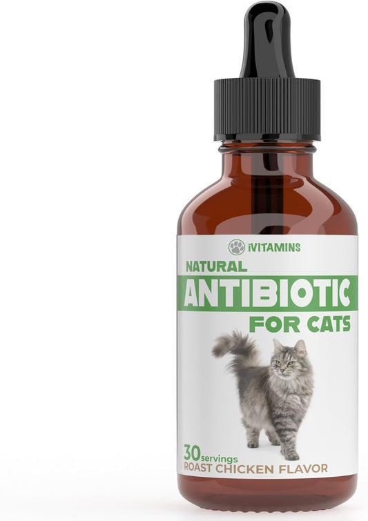 Natural Antibiotics for Cats - Effective Infection Treatment and UTI Relief - 1 fl oz