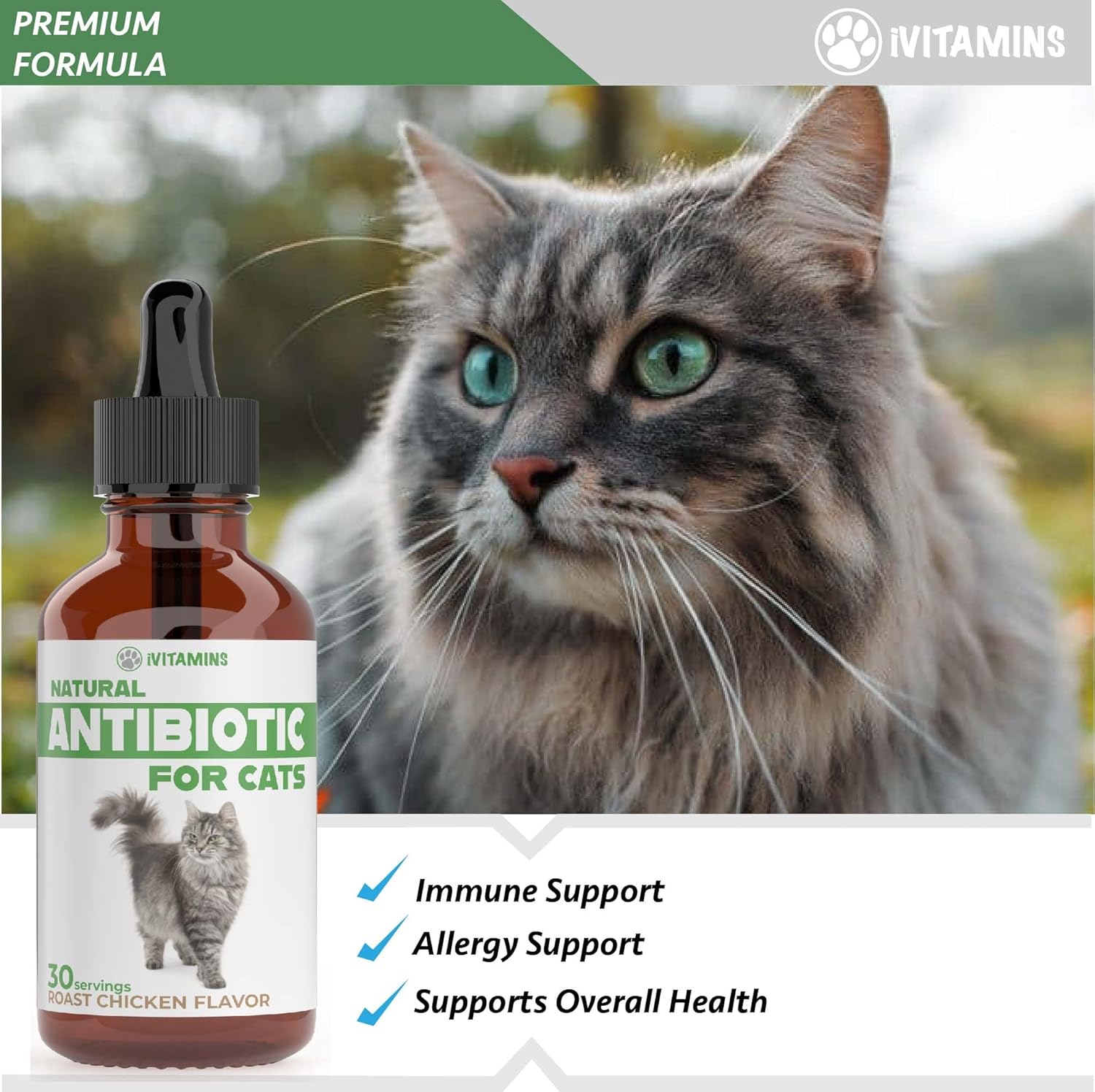 Natural Antibiotics for Cats - Effective Infection Treatment and UTI Relief - 1 fl oz