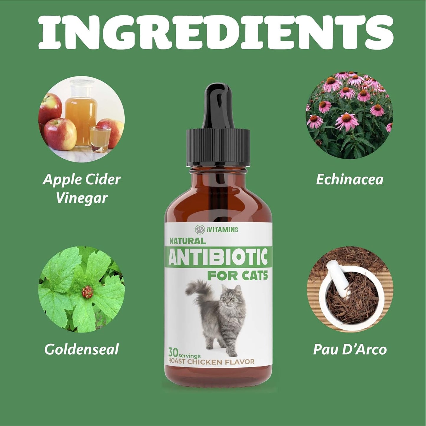Natural Antibiotics for Cats - Effective Infection Treatment and UTI Relief - 1 fl oz