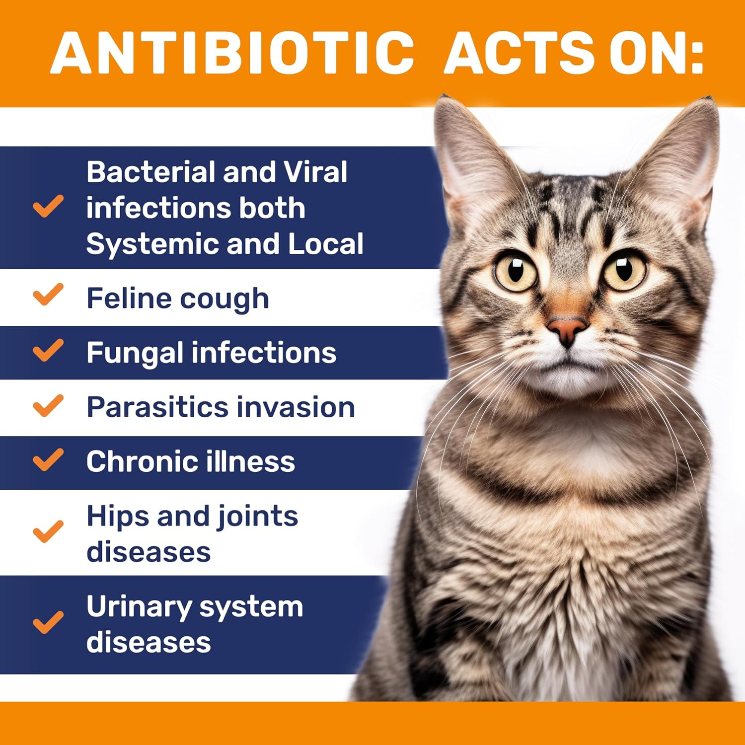 Natural Antibiotics for Cats - Supports Digestion, UTIs, and Joint Health - Herbal Flavor - 2 Oz