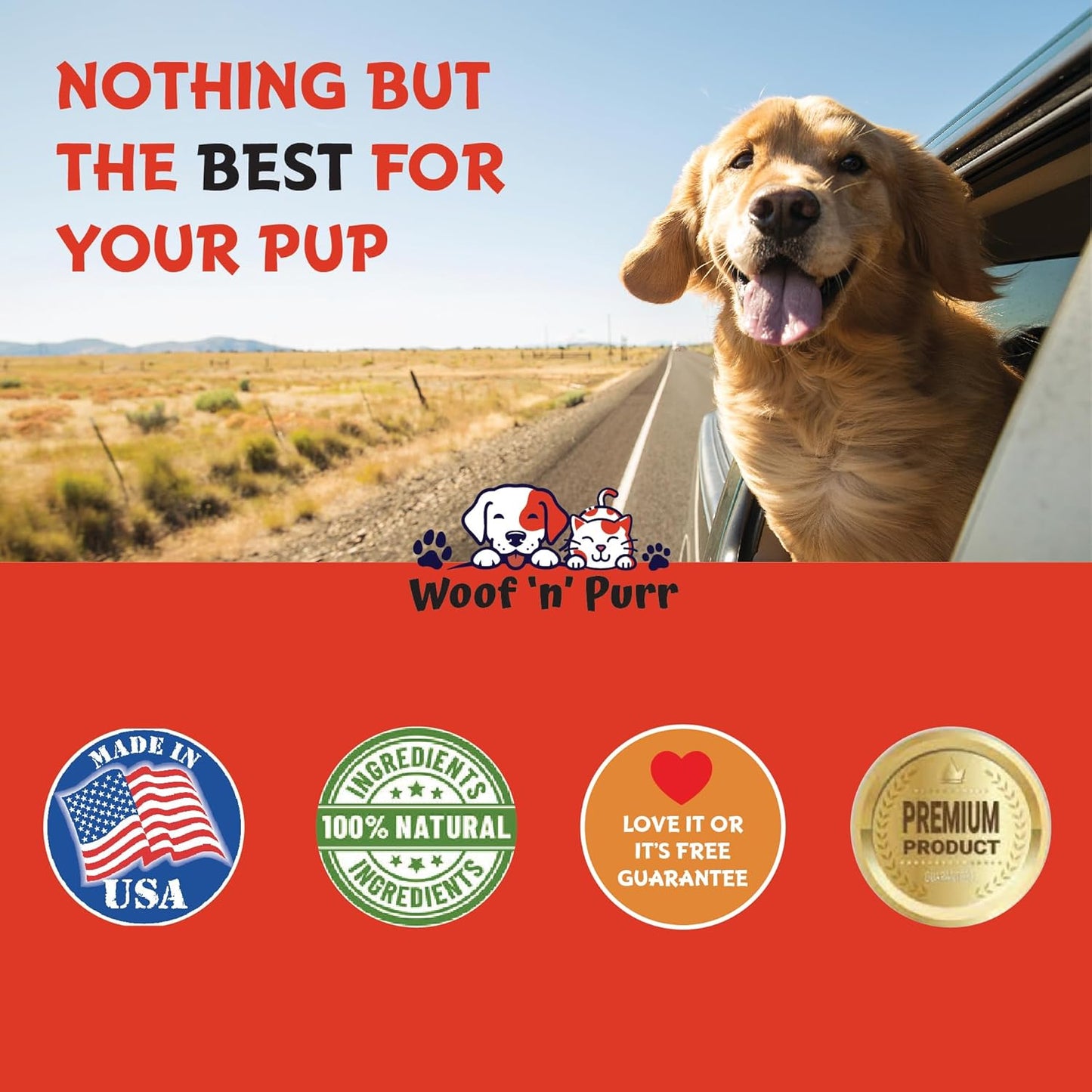 Natural Antibiotics for Dogs - Immune Health & Itch Relief - Allergy Relief - Yeast Infection Treatment - 1 oz