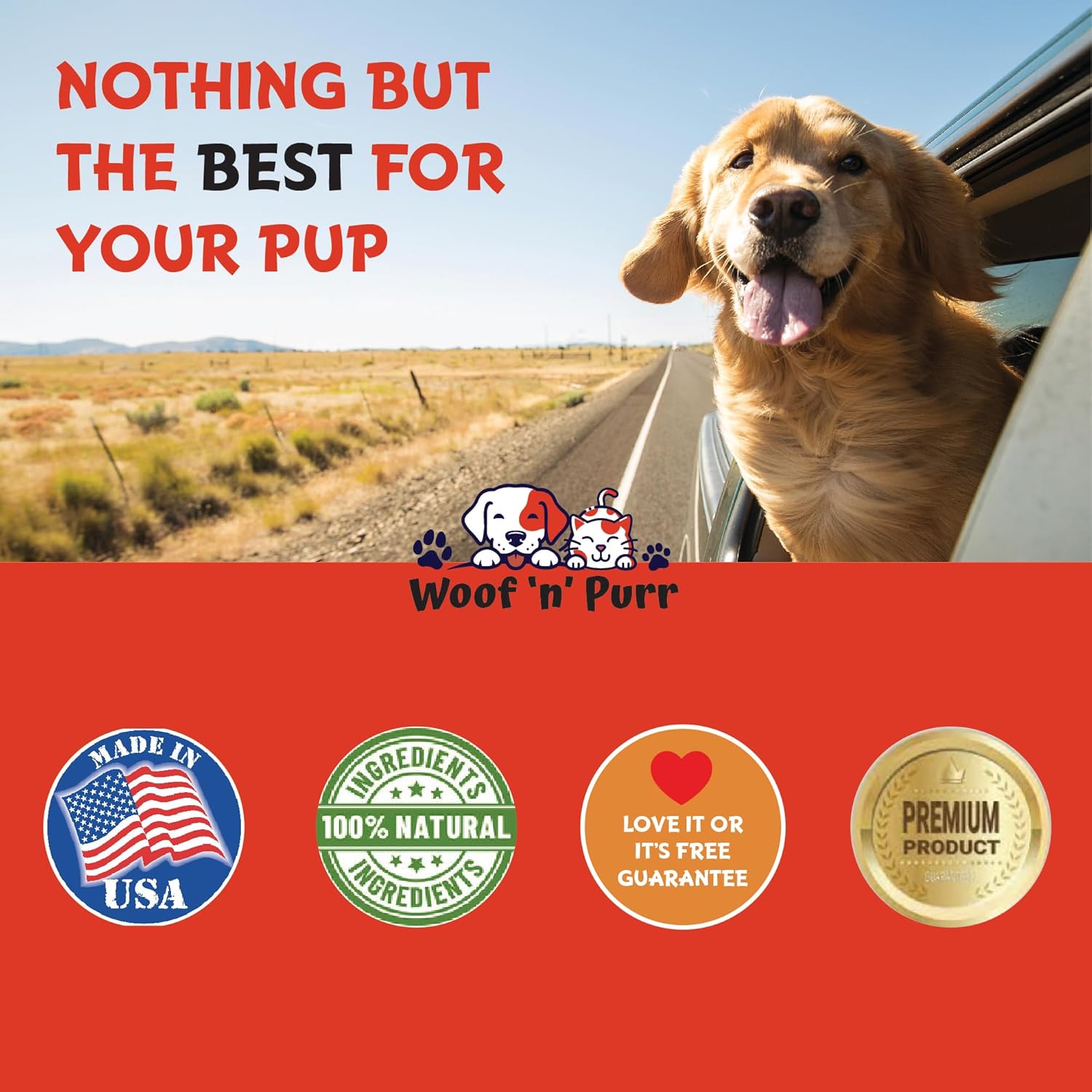 Natural Antibiotics for Dogs - Immune Health & Itch Relief - Allergy Relief - Yeast Infection Treatment - 1 oz