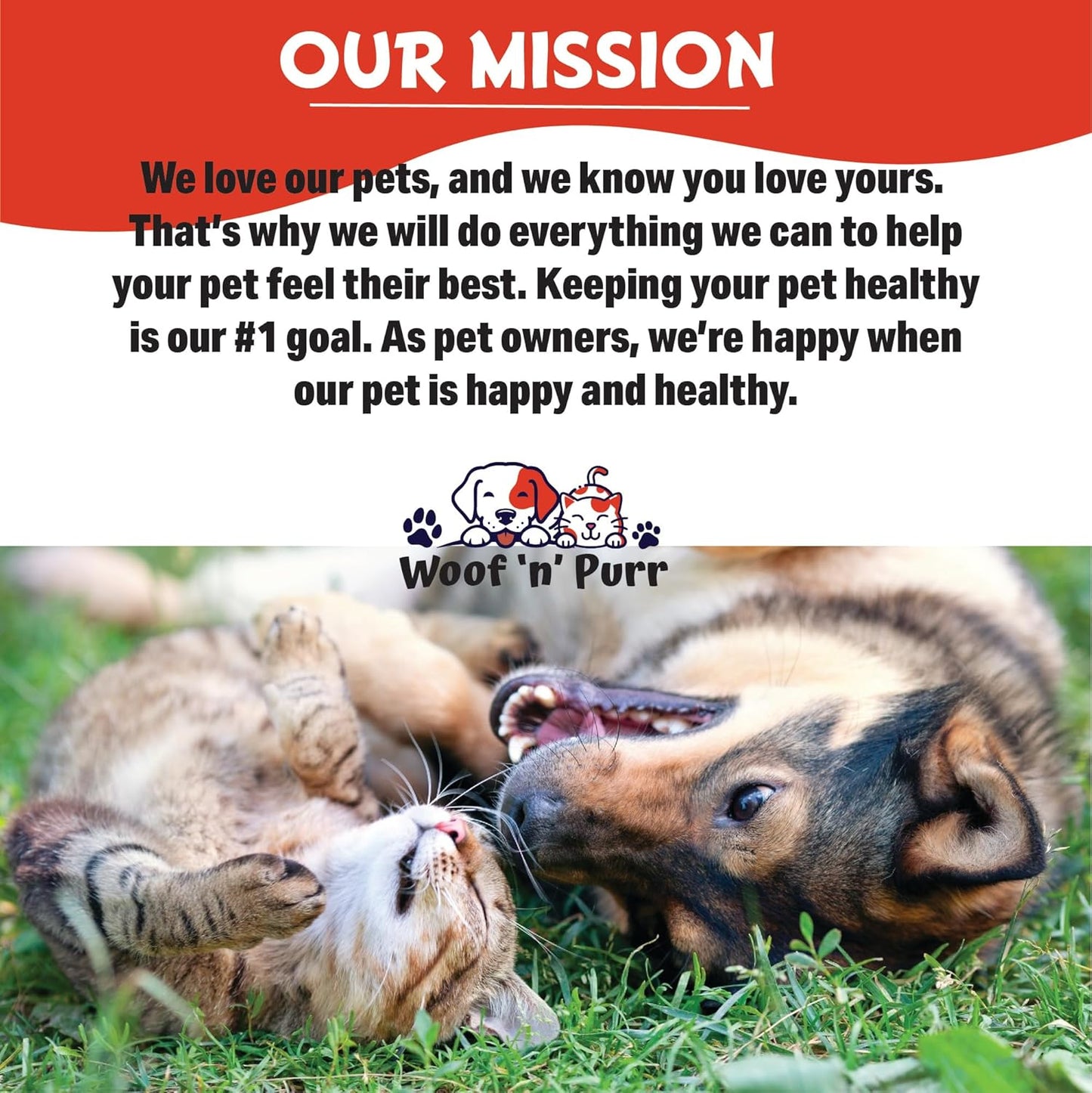 Natural Antibiotics for Dogs - Immune Health & Itch Relief - Allergy Relief - Yeast Infection Treatment - 1 oz