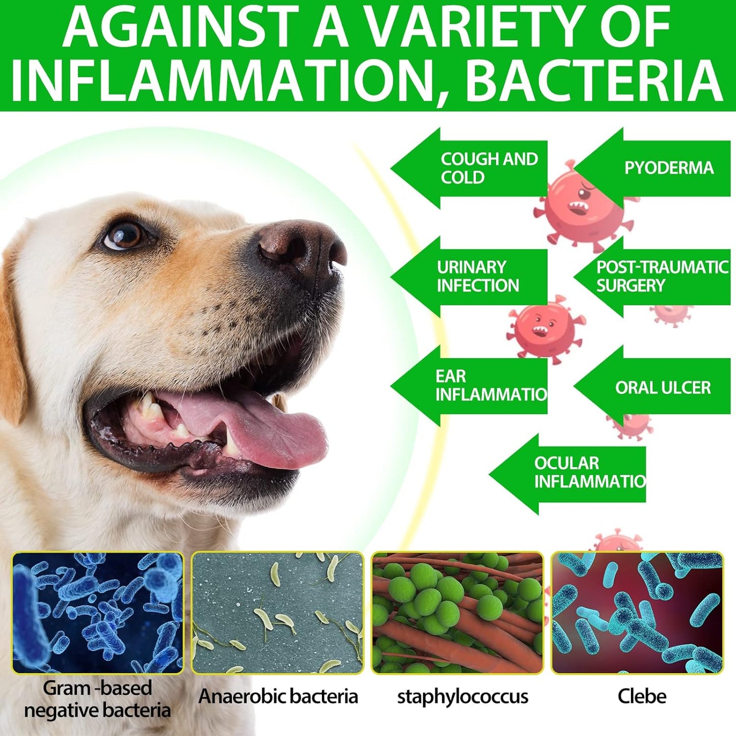 Natural Bacon-Flavored Dog Antibiotics for Allergy and Itch Relief - 120 ml - 2 Pack