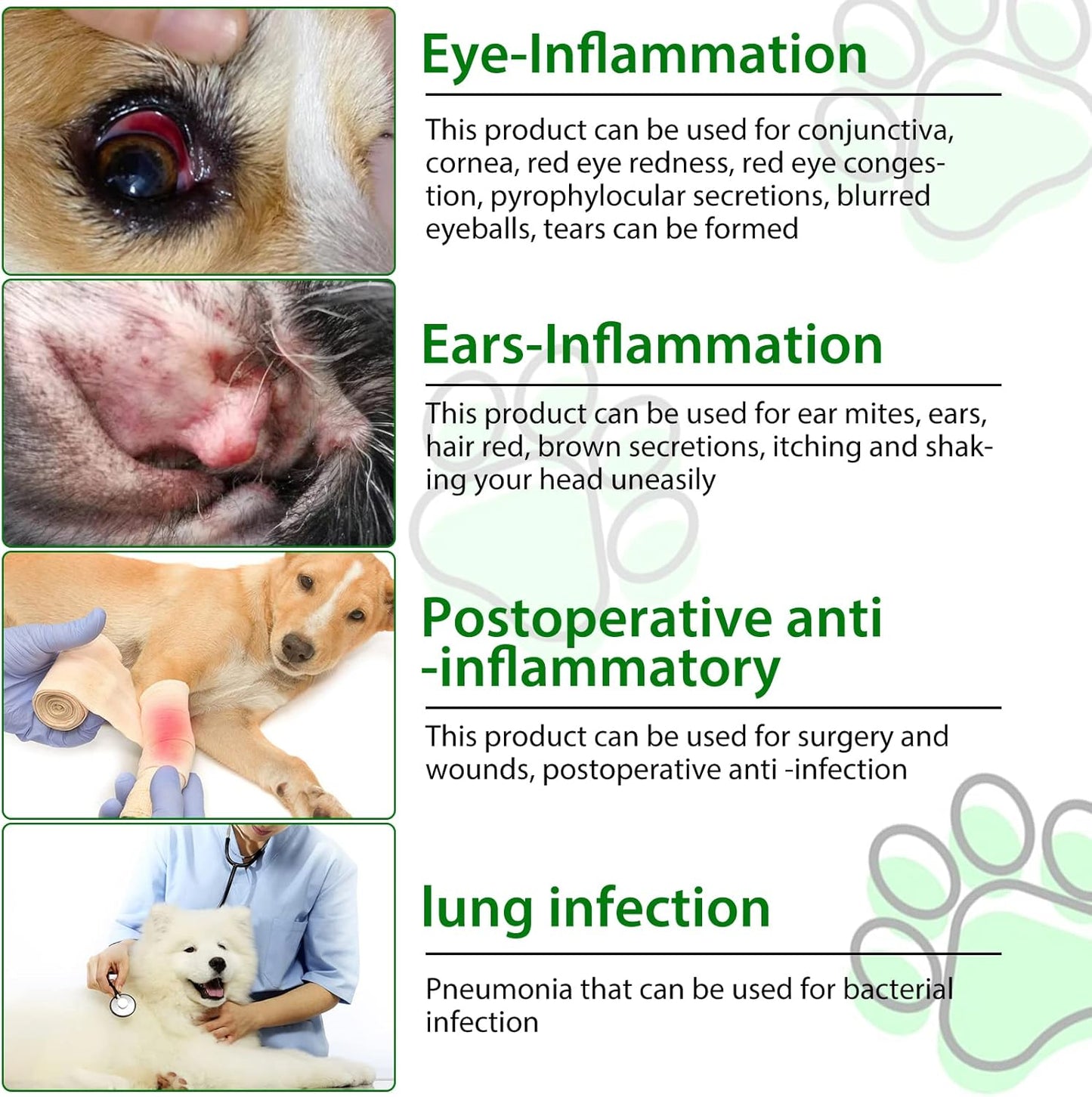 Natural Bacon-Flavored Dog Antibiotics for Allergy and Itch Relief - 120 ml - 2 Pack