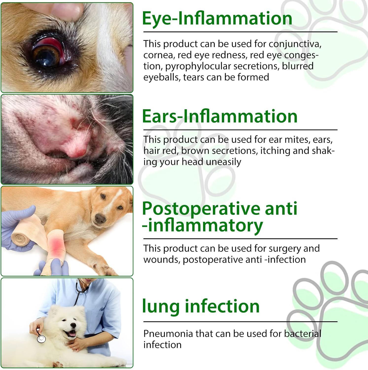 Natural Bacon-Flavored Dog Antibiotics for Allergy and Itch Relief - 120 ml - 2 Pack