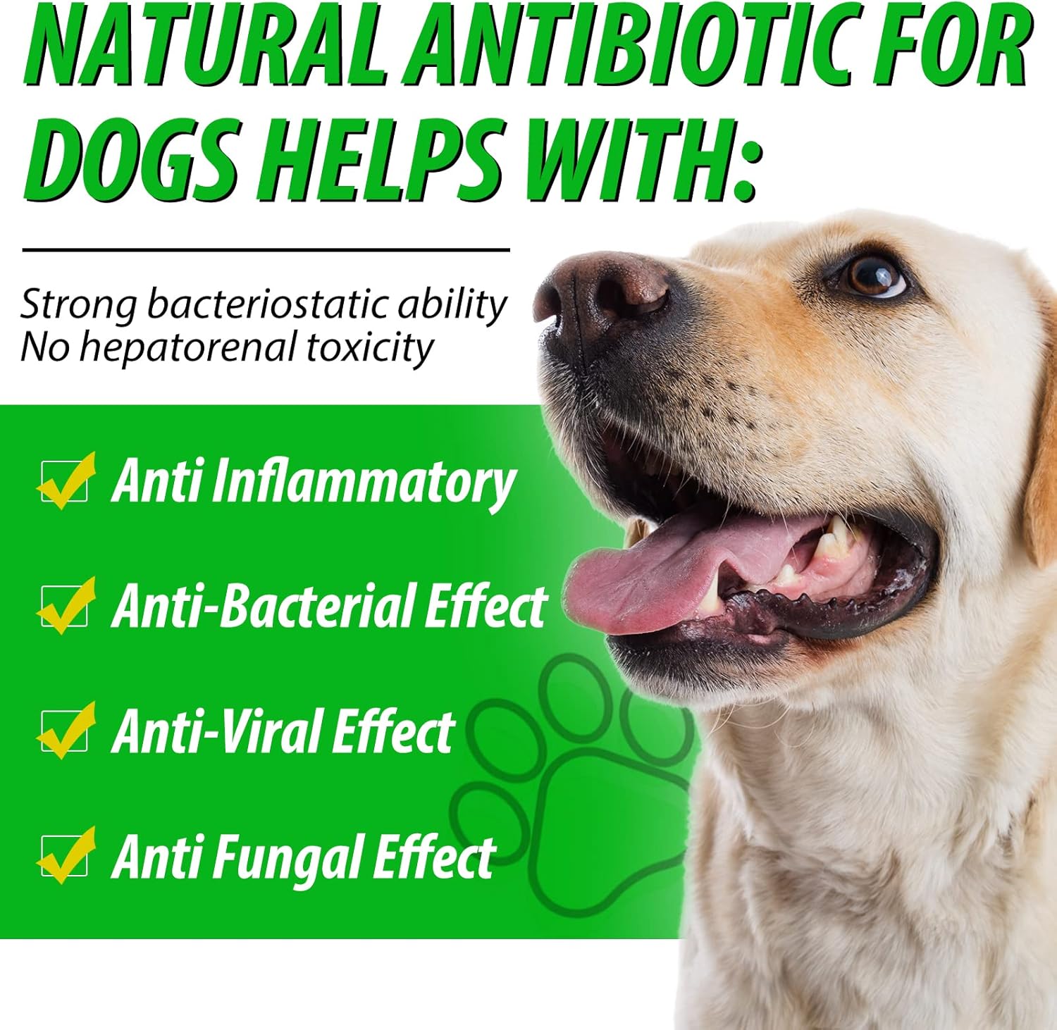Natural Bacon-Flavored Dog Antibiotics for Allergy and Itch Relief - 120 ml - 2 Pack