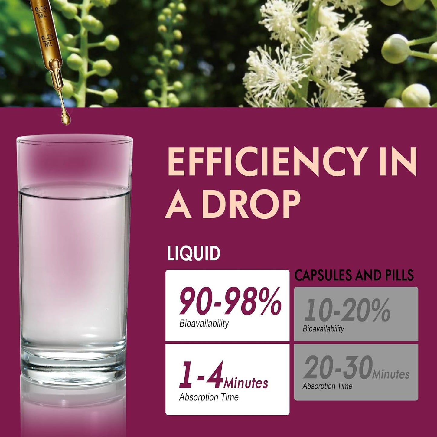 Natural Black Cohosh Extract Herbal Drops for Hormone Balance, Menopause & PMS Relief - 2oz