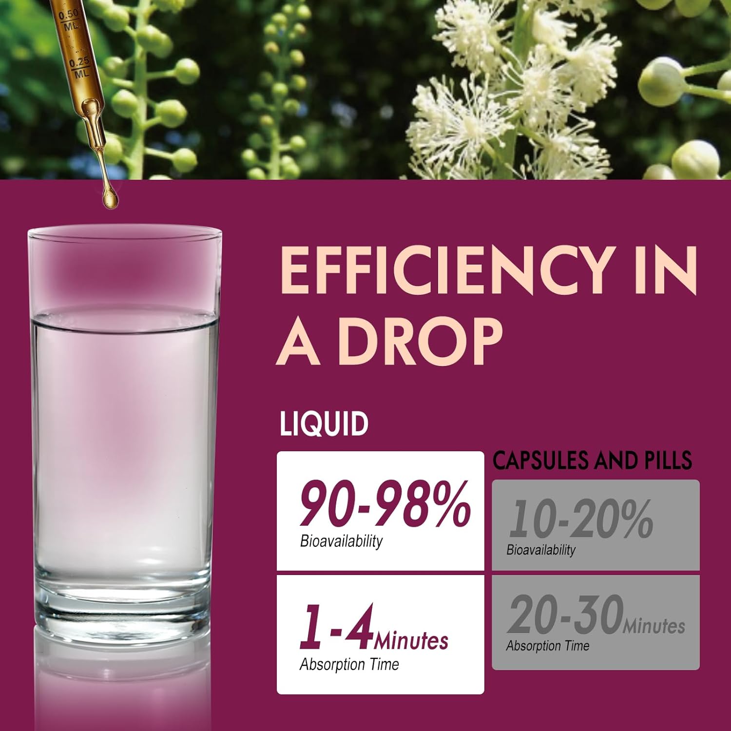 Natural Black Cohosh Extract Herbal Drops for Hormone Balance, Menopause & PMS Relief - 2oz