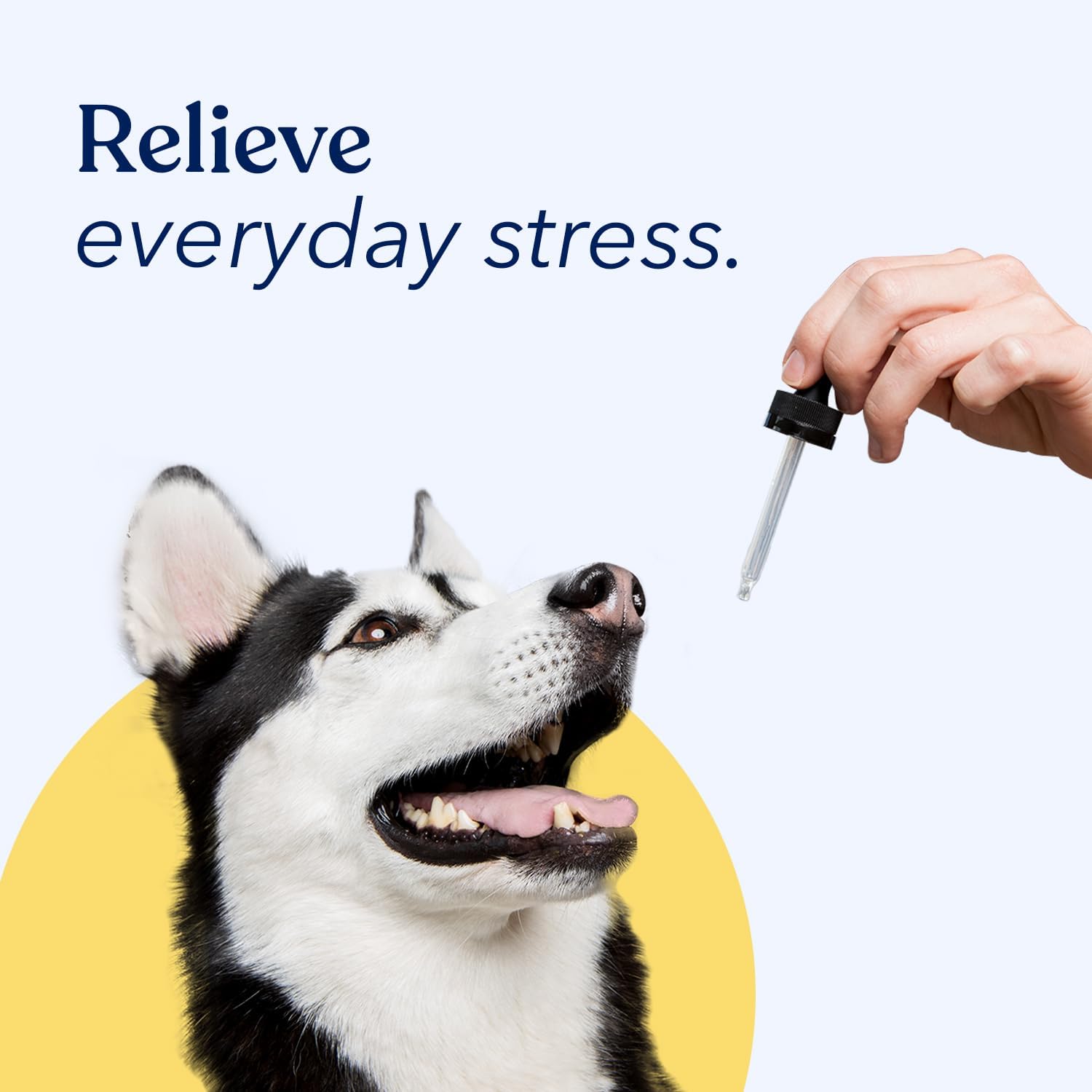 Natural Calmingmetabolism boosterOil Drops for Dogs with Omega 3 6 9 - Promotes Healthy Joints, Relaxation, and Pain Relief - Made in USA