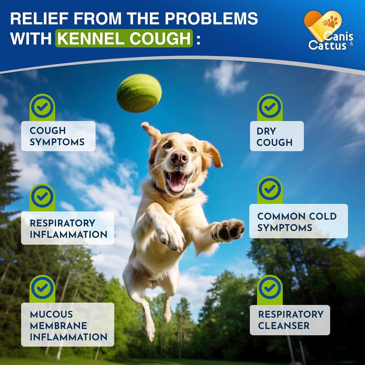 Natural Canis&Cattus Dog and Cat Cough Drops for Allergies and Respiratory Support - 2 Oz Bottle