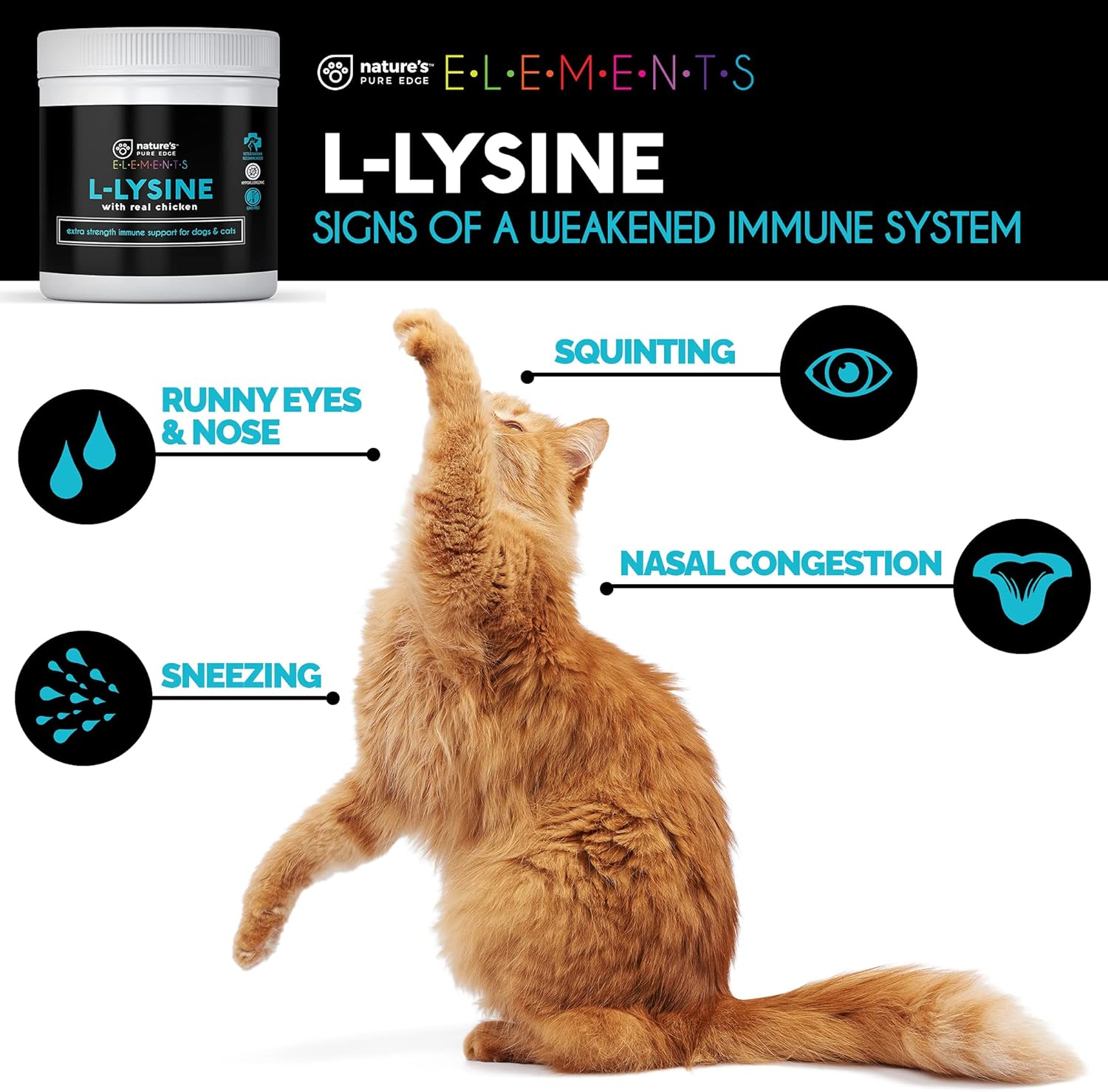 Natural Chicken Flavored L-Lysine Powder for Cats and Dogs - Extra Strength Immune Support and Respiratory Health - 125g