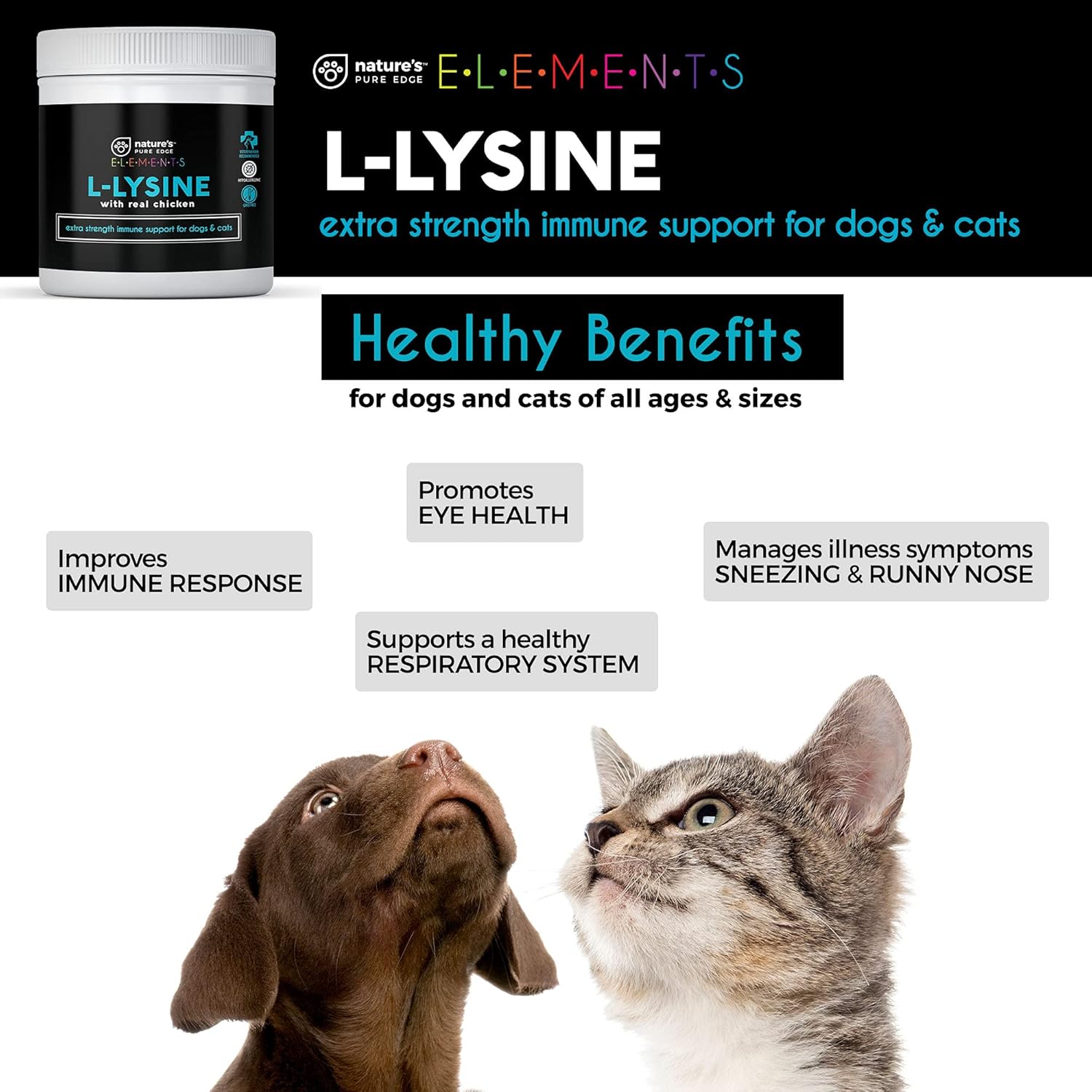 Natural Chicken Flavored L-Lysine Powder for Cats and Dogs - Extra Strength Immune Support and Respiratory Health - 125g