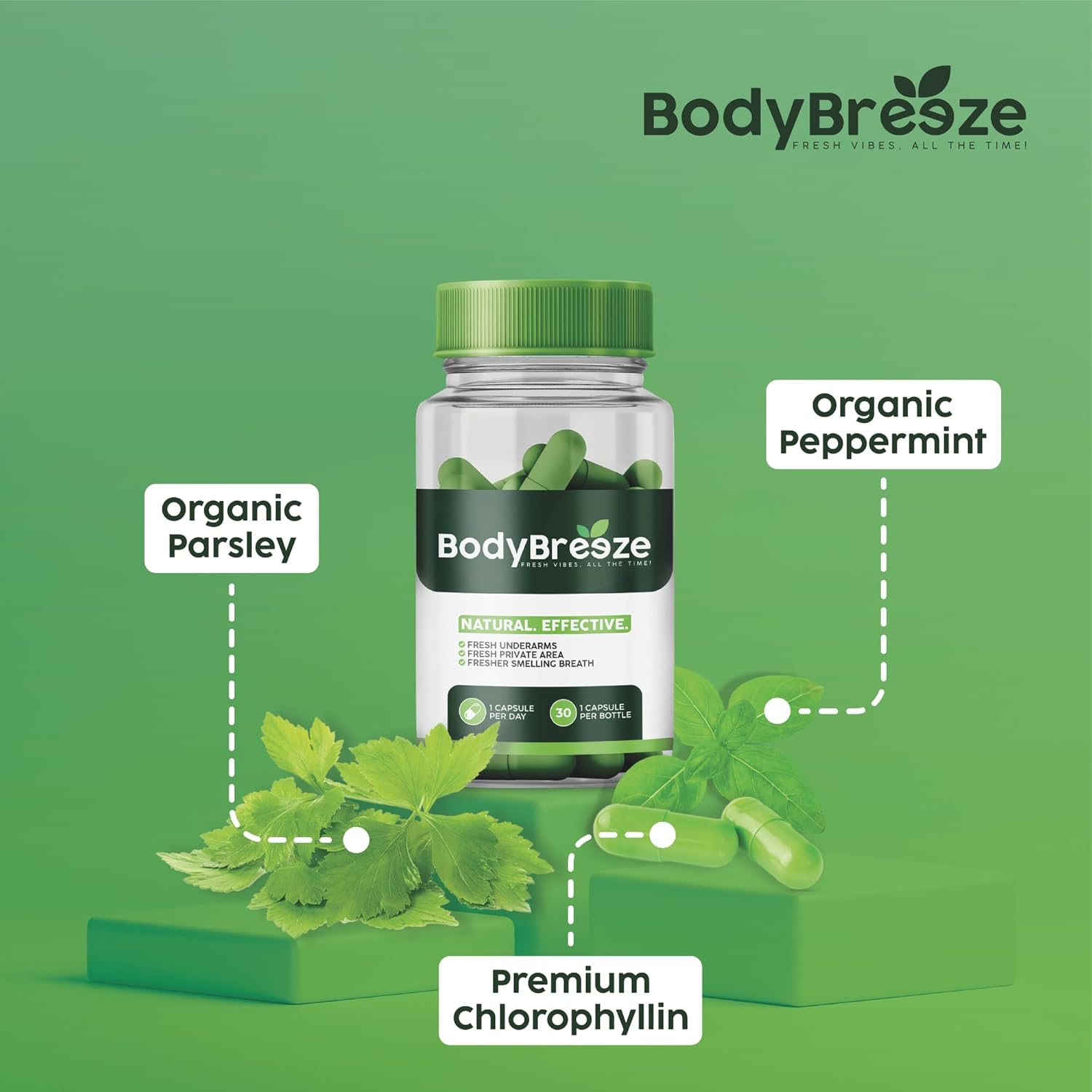 Natural Chlorophyll Supplement for Body Odor Control, Gut Health, and Fresh Breath - 60 Vegan Capsules for Detox Support and Skin Health - Odor Eliminator for Men & Women