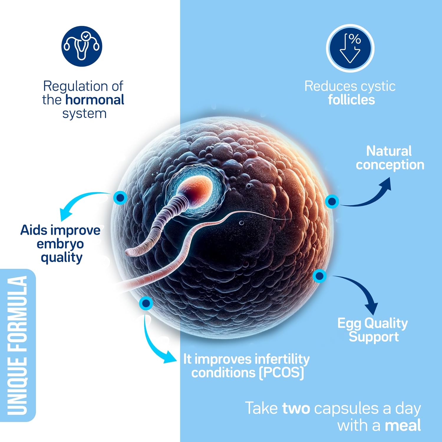 Natural Conception Fertility Vitamins for Women - Prenatal Support with Myo-Inositol, D-Chiro Inositol, Folate - Regulates Cycle, Aids Ovulation, Hormonal & Ovarian Support - Vitex - 30 Day Supply