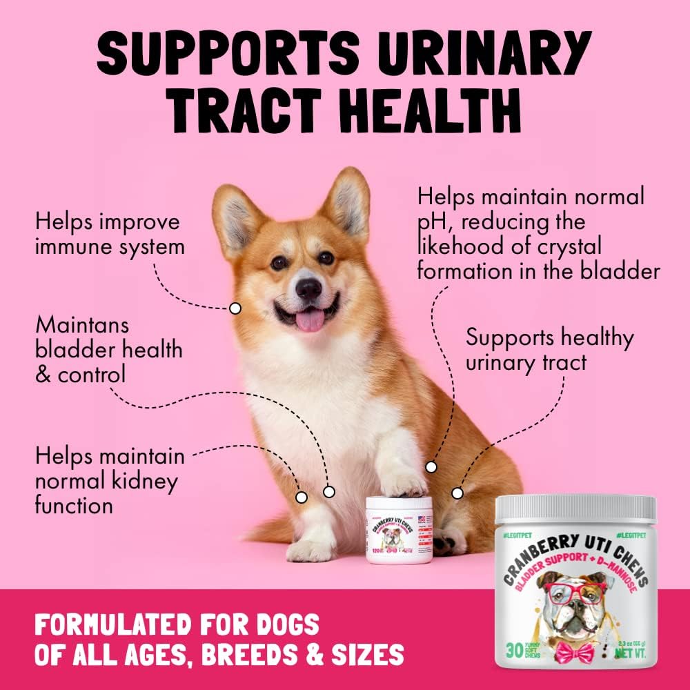 Natural Cranberry UTI Chews for Dogs - Kidney & Urinary Tract Health - Immune System Support - 30 Chews